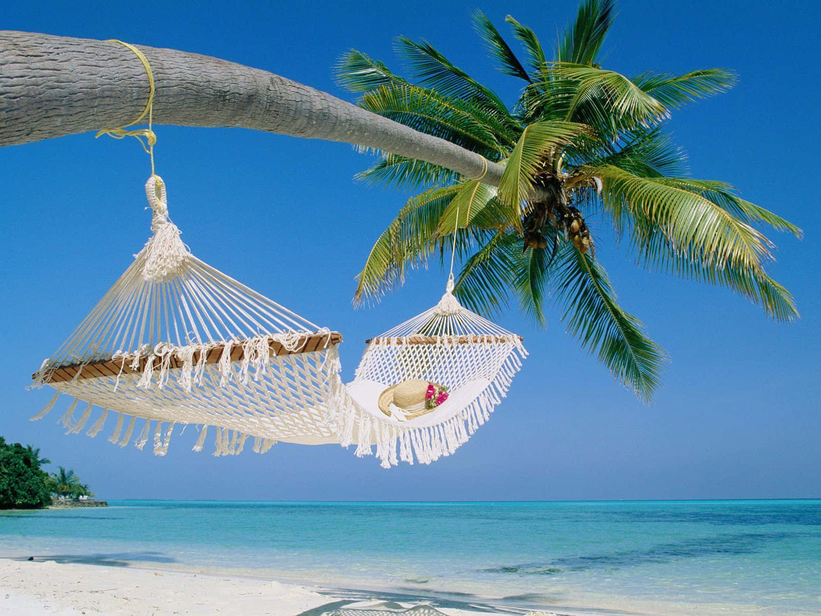Maldives Beach 桌布 壁紙 — 兩個白色繩索吊床掛在棕櫚樹上，下方是純淨的白色沙灘，伴隨著碧綠的海水和清澈的藍天。