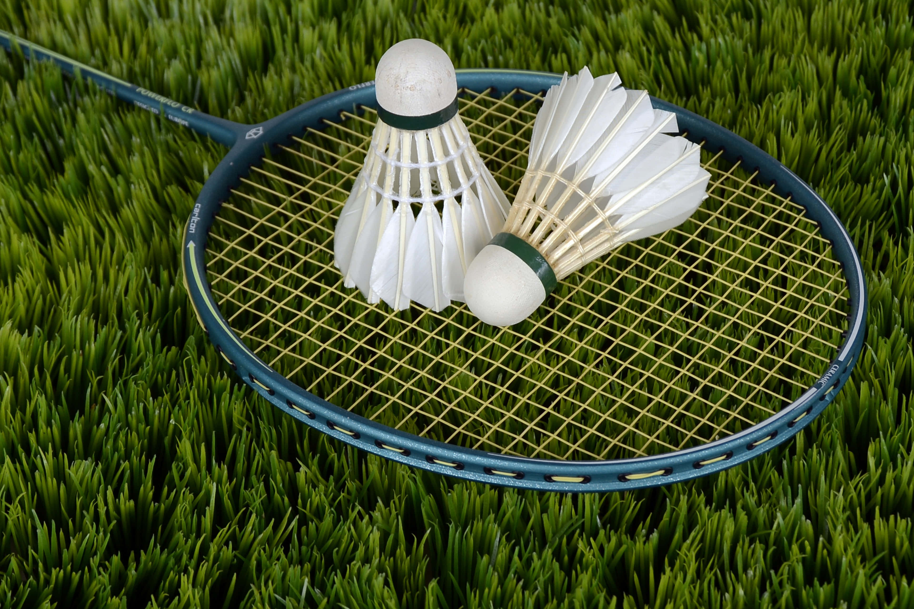 Badminton 桌布 壁紙 — 兩個白色羽毛球放在一個藍色羽毛球拍上，羽毛球拍放在充滿活力的綠色草地上。