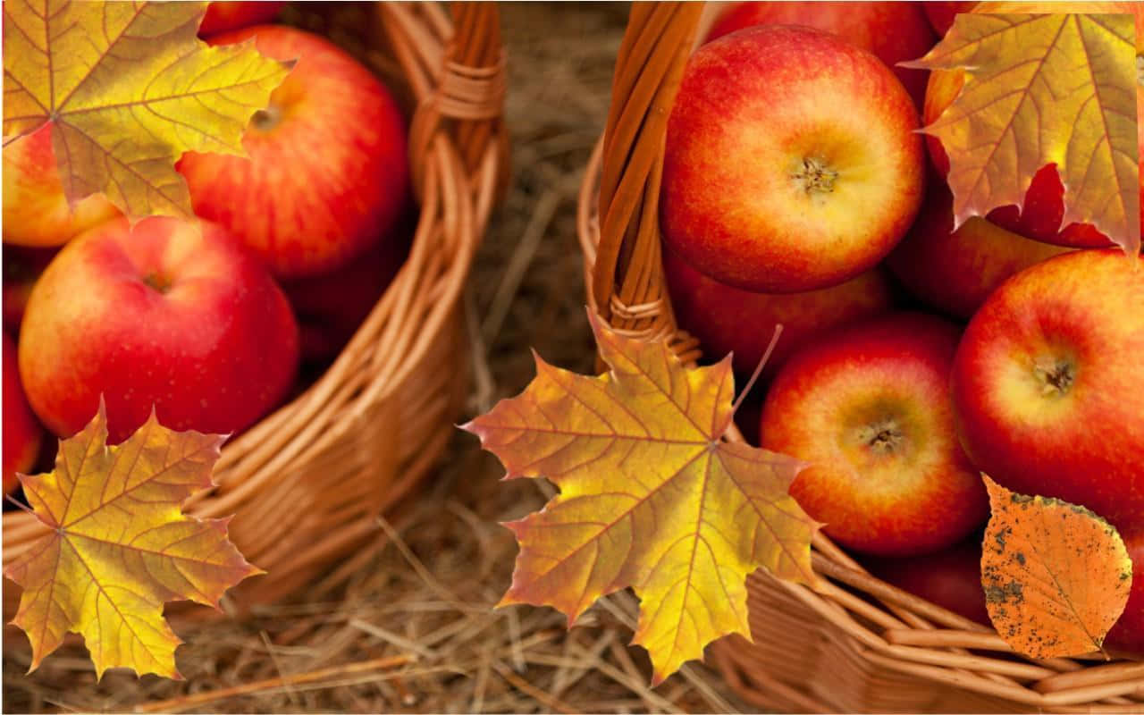 Fall Apples 桌布 壁紙 — 兩個編織籃子裝滿了光澤的紅蘋果，依偎在金黃色的楓葉中，放在稻草床上。