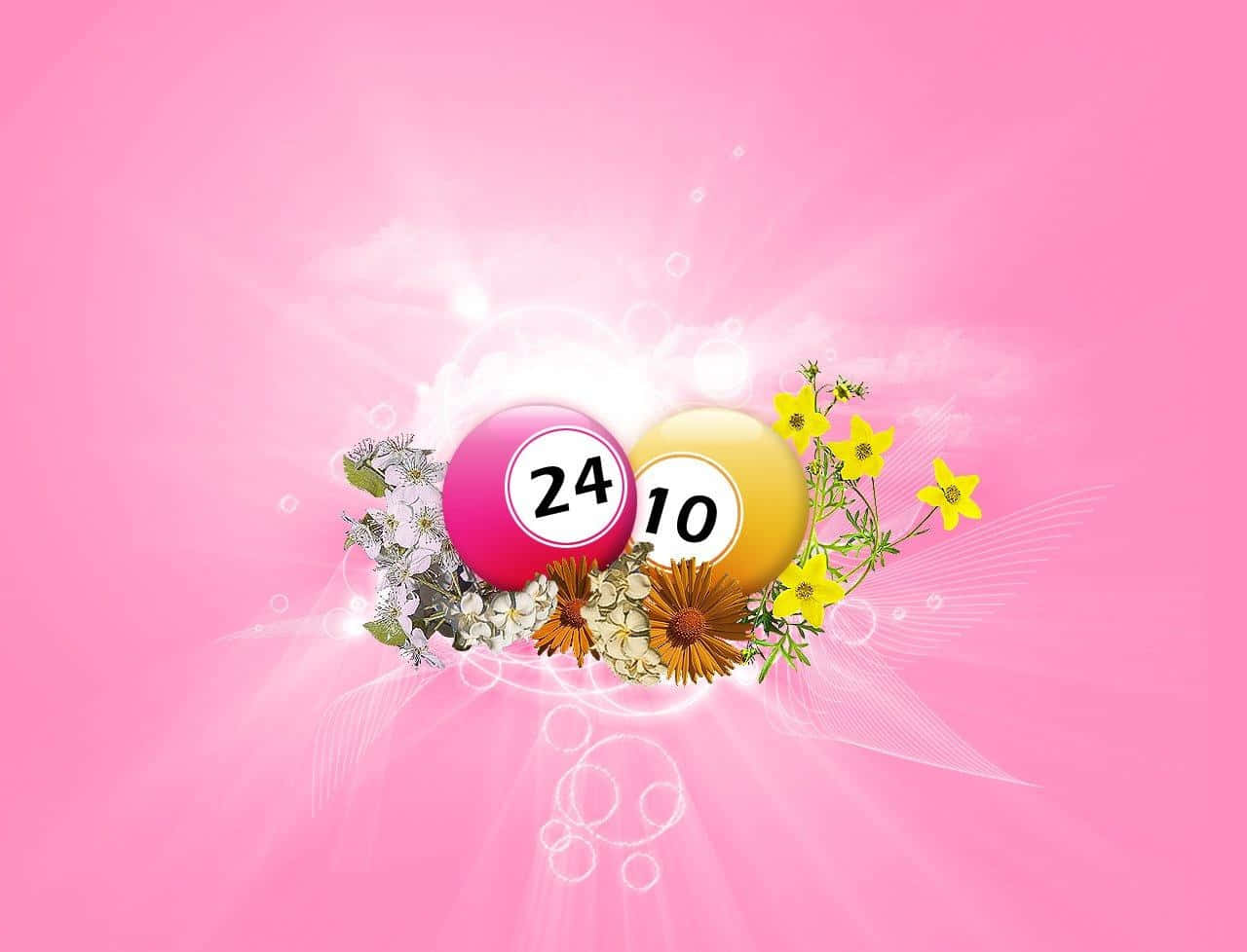 Bingo 桌布 壁紙 — 兩個色彩繽紛的彩票球，編號24和10， nestled在鮮豔的花朵中，襯托著耀眼的粉紅色背景。