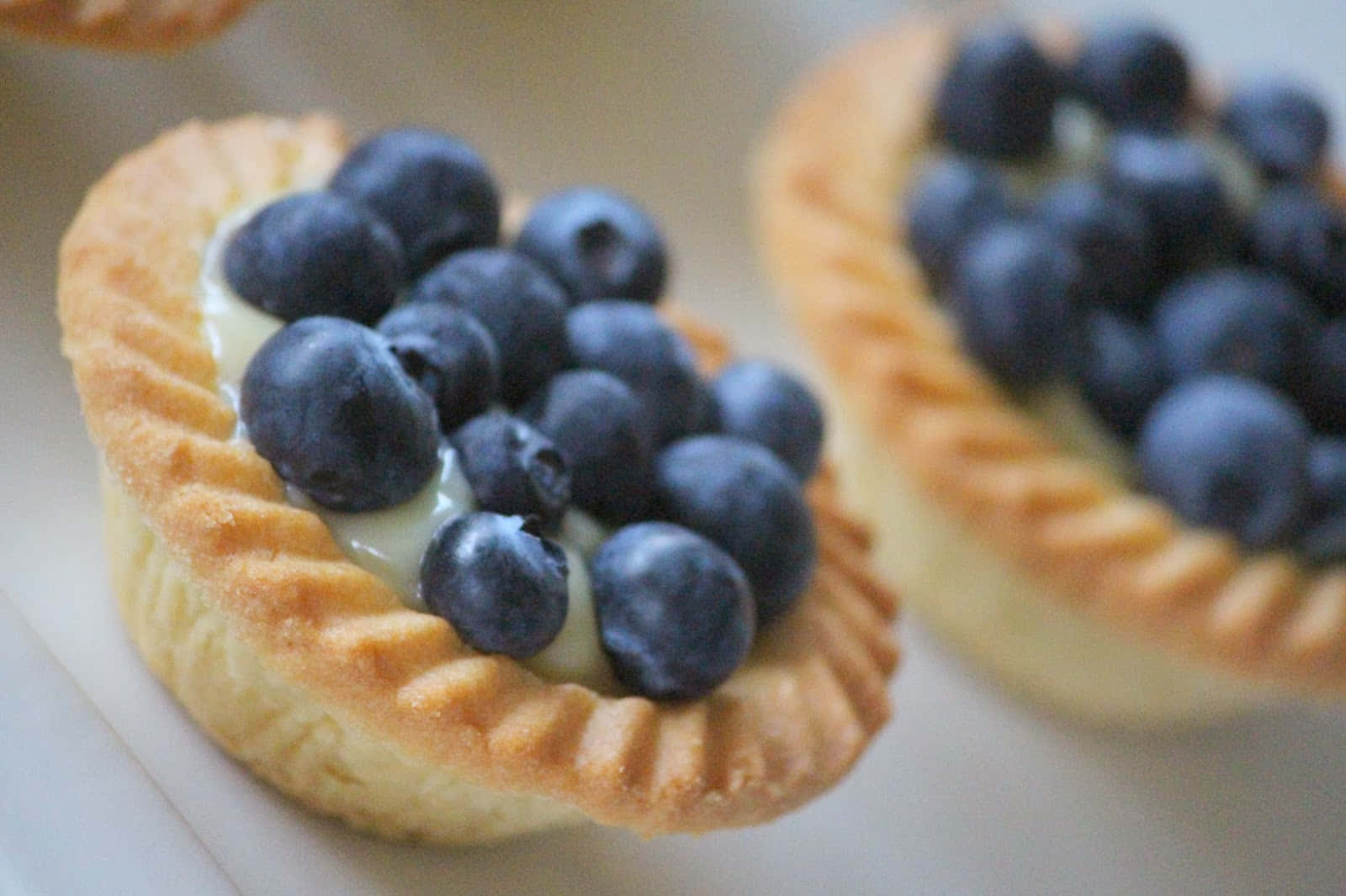 Blueberries Tart 桌布 壁紙 — 兩個金黃色小撻的微距特寫，內餡為幼滑吉士，上面綴滿飽滿藍莓。