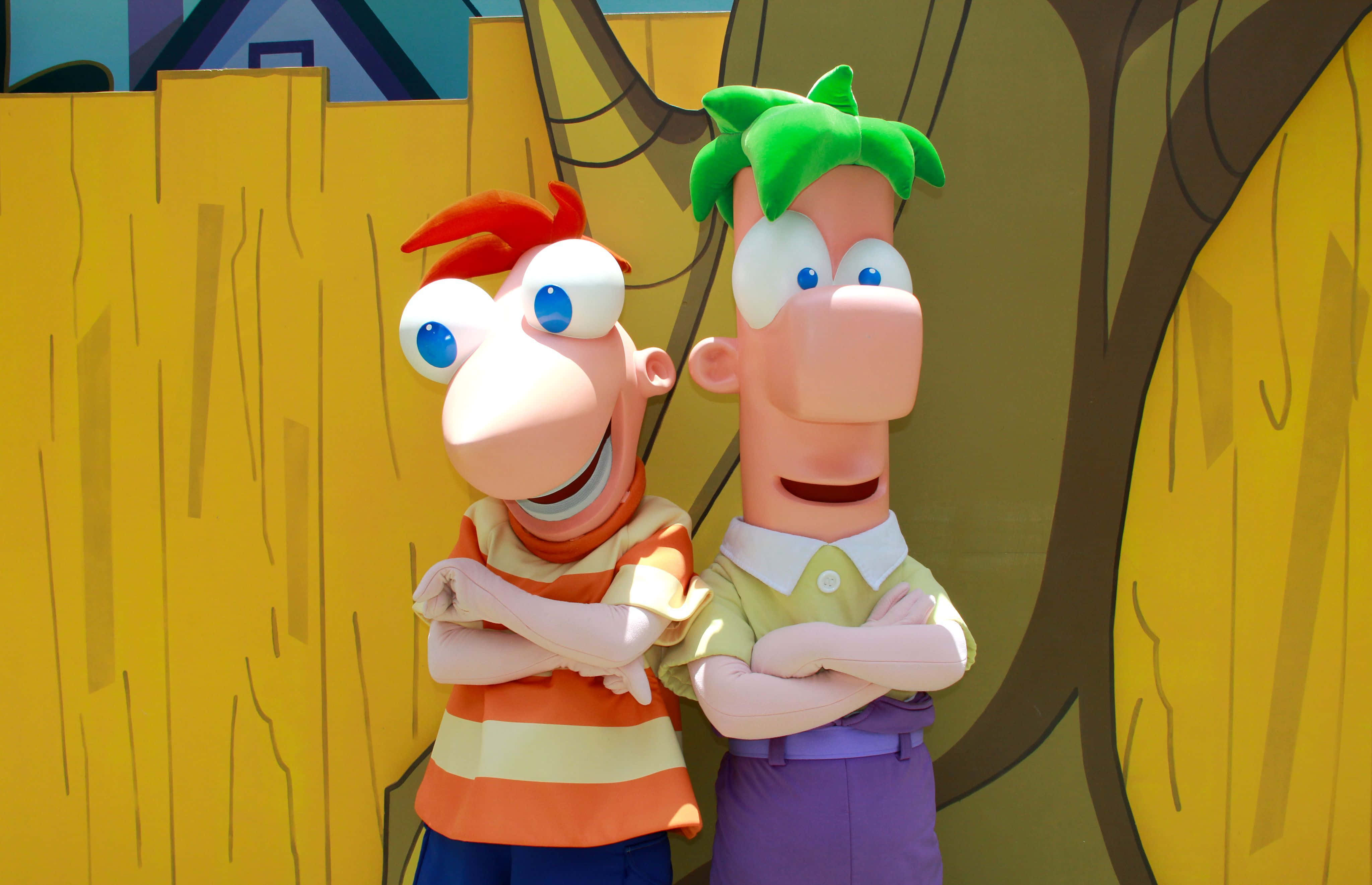 Phineas And Ferb 桌布 壁紙 — 兩個開心嘅卡通吉祥物，有超大嘅眼睛同交叉嘅手臂，企喺一個風格化嘅黃色木籬笆背景前微笑。