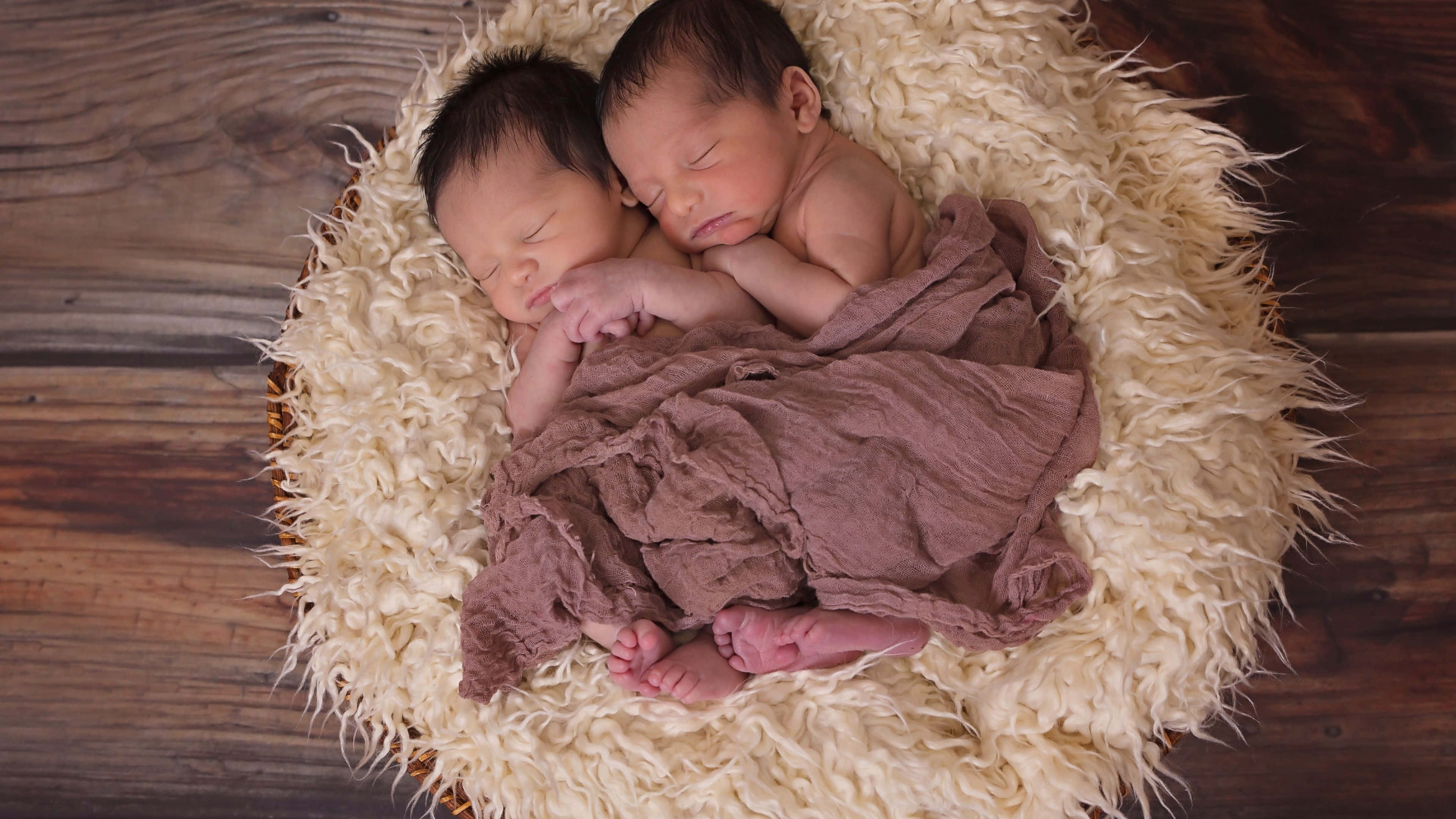 twins 桌布 壁紙 — 兩名初生雙胞胎在木地板上一個鋪有柔軟奶油色毛絨的籃子裡，安詳地交織在一起睡覺。
