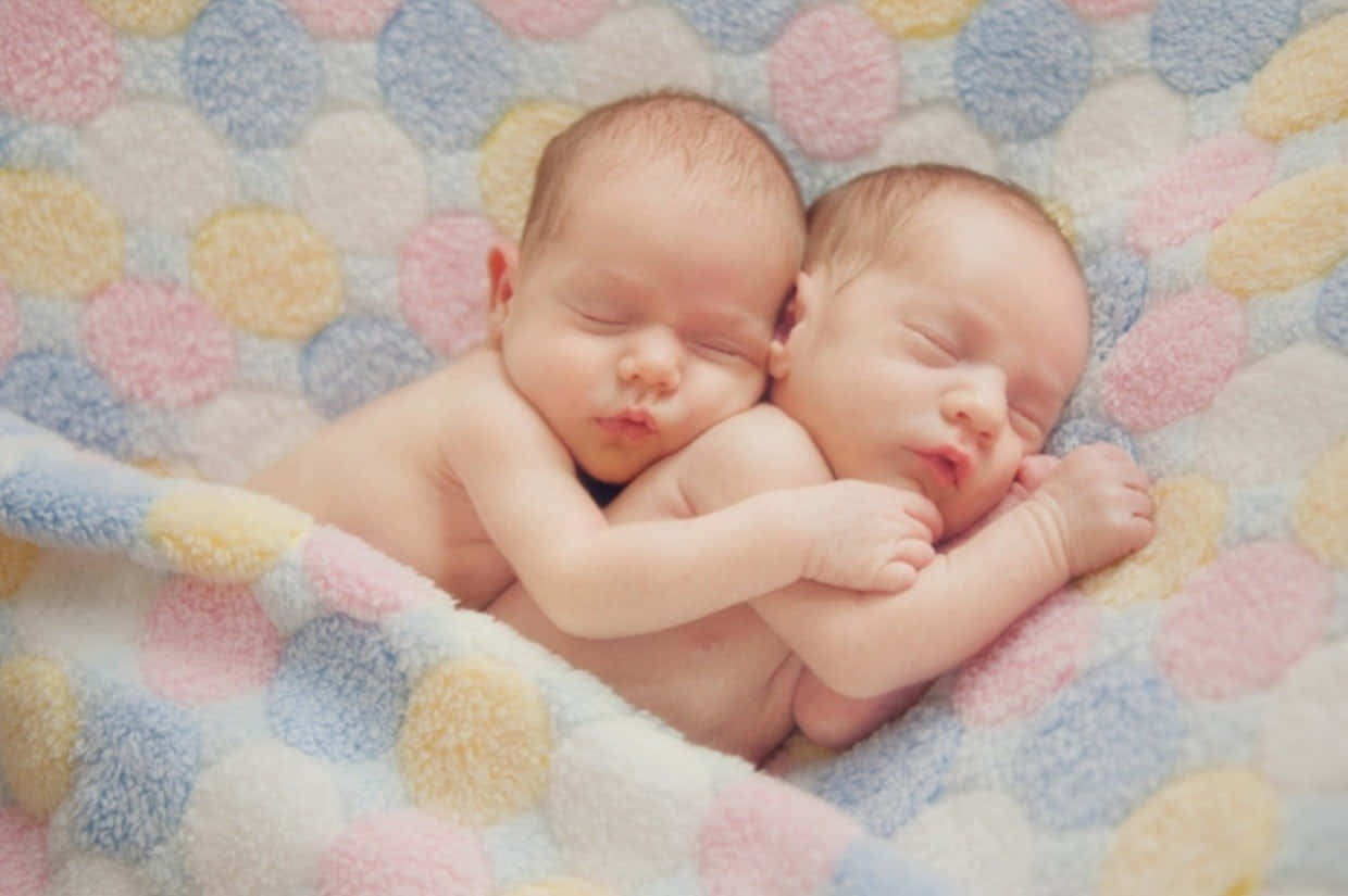Cute Babies 桌布 壁紙 — 兩名初生雙胞胎在柔軟的粉彩圓點毛毯上平靜地交織而眠。