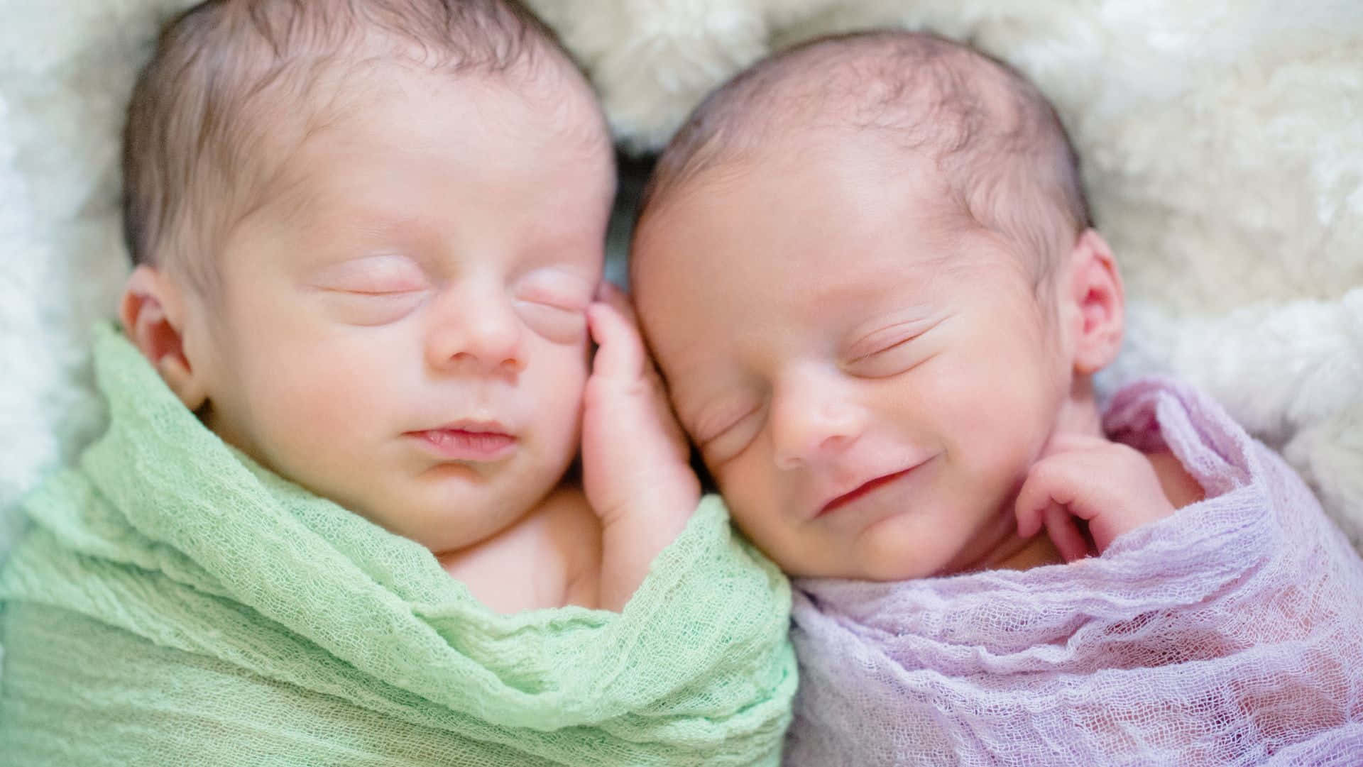 Cute Babies 桌布 壁紙 — 兩名初生雙胞胎安詳地睡在柔軟的綠色和薰衣草色毛毯中，置於蓬鬆的白色表面上。