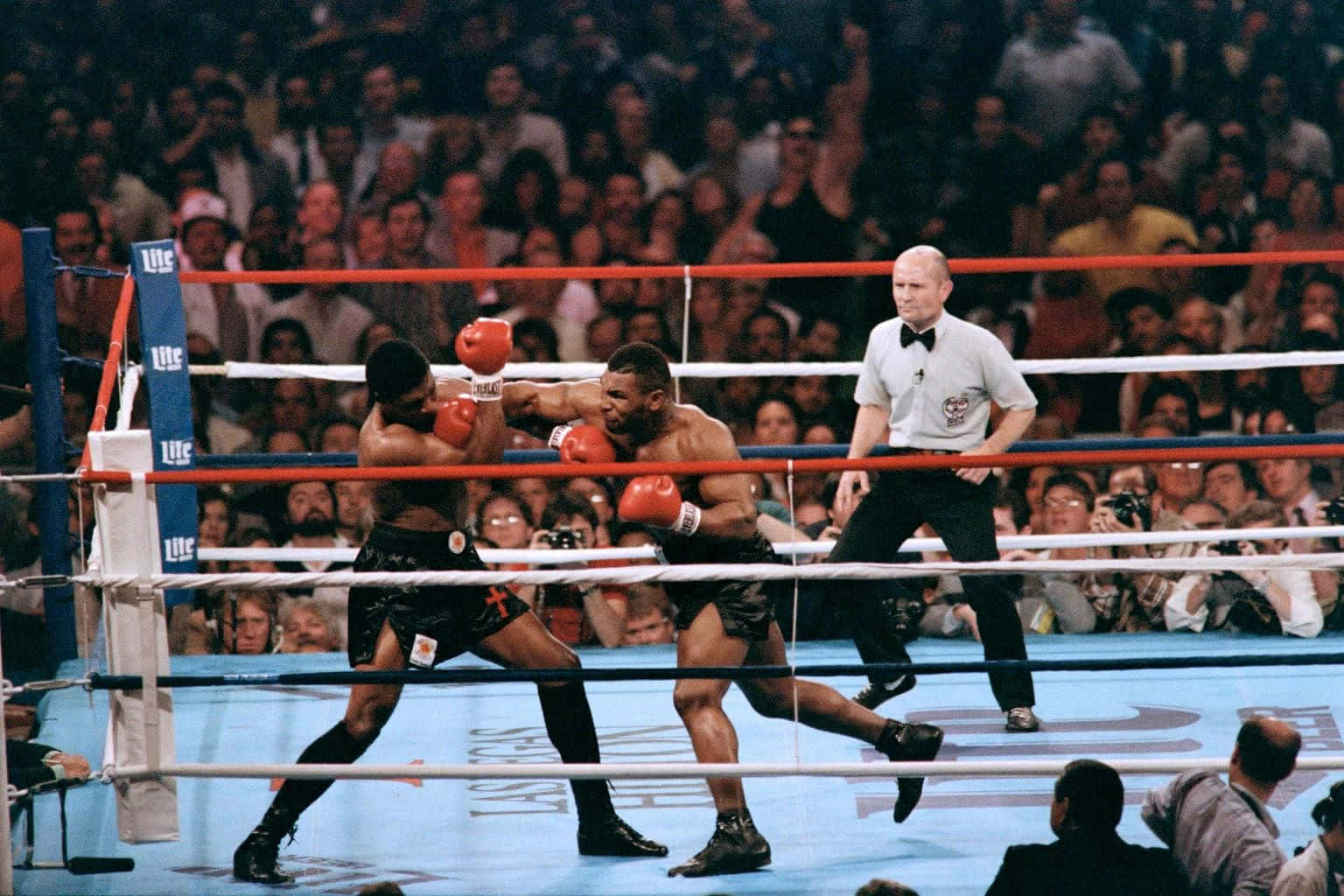 mike tyson 桌布 壁紙 — 兩名拳擊手在明亮的燈光下於擂台上交鋒，裁判在旁觀看，滿座的觀眾在背景中吶喊。
