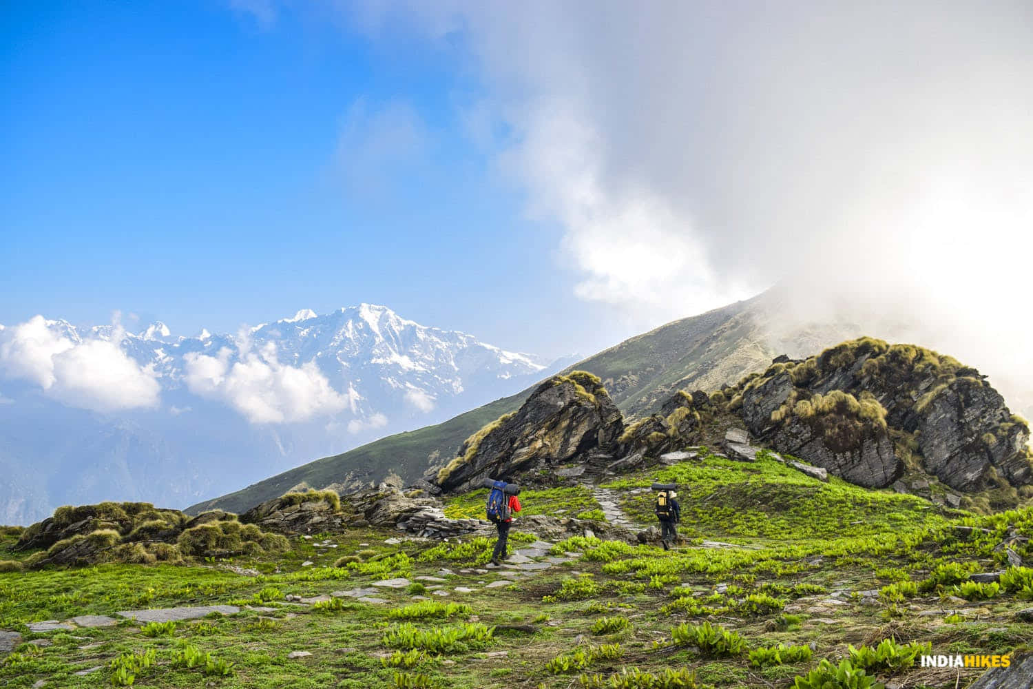Hiking 桌布 壁紙 — 兩名揹著背包的遠足者穿越陽光明媚的綠色高山草甸，遠處有白雪覆蓋的山峰和雲朵。