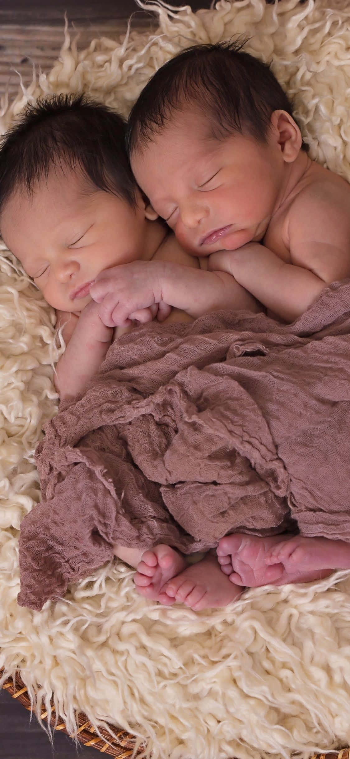 twins 桌布 壁紙 — 兩名新生嬰兒在柔軟溫暖的燈光下，在蓬鬆的奶油色地毯上安詳地交織而眠。