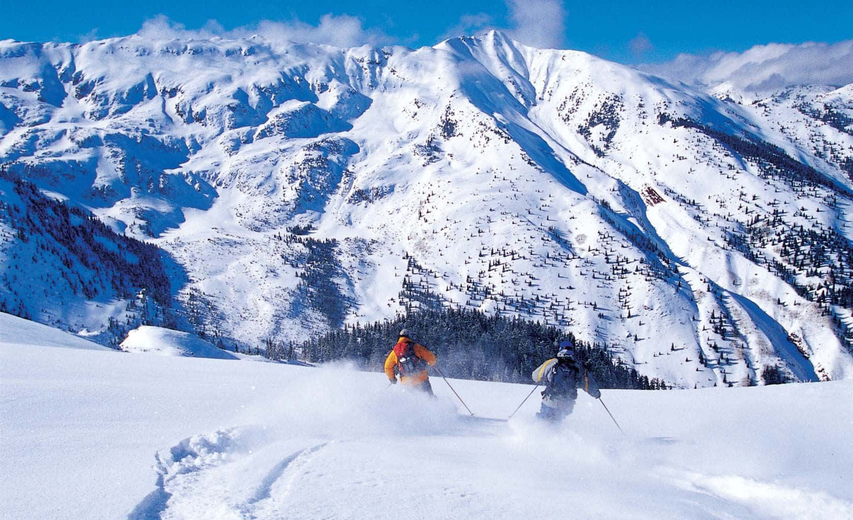 Skiing 桌布 壁紙 — 兩名滑雪者在陽光照耀的雪坡上劃過新鮮的粉雪，背景是崎嶇的山峰和常青樹。