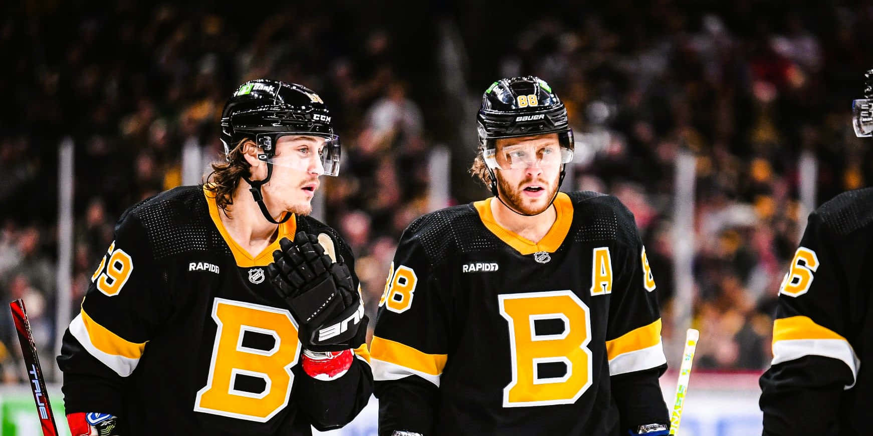 Tyler Bertuzzi 桌布 壁紙 — 兩名身穿黑色和金色球衣、胸前有字母B的曲棍球運動員在比賽期間站在冰上，背景是模糊的人群。