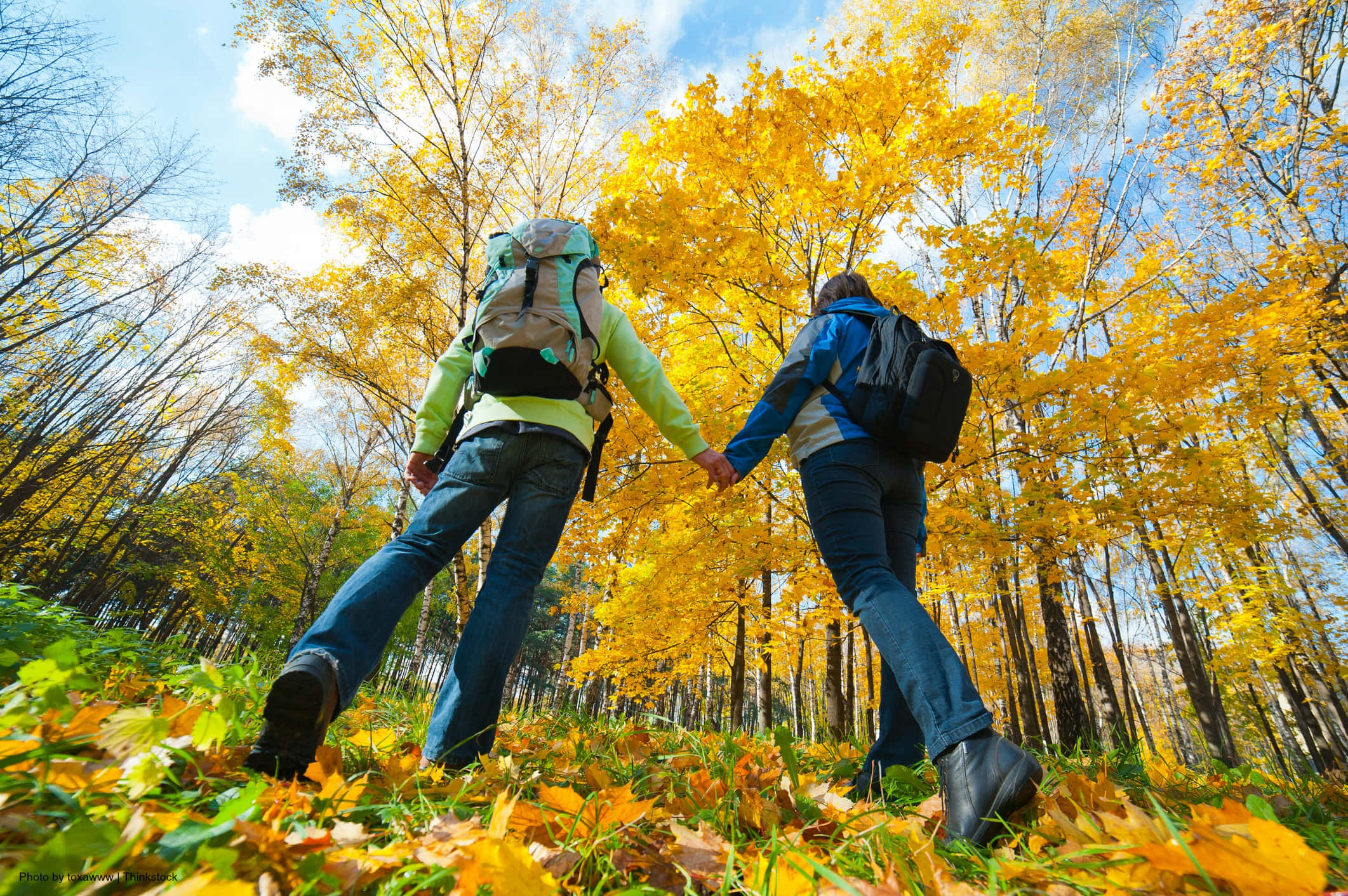 Fall Hikes 桌布 壁紙 — 兩名遠足者手牽手，在明亮的藍天下穿過充滿活力的秋日森林。