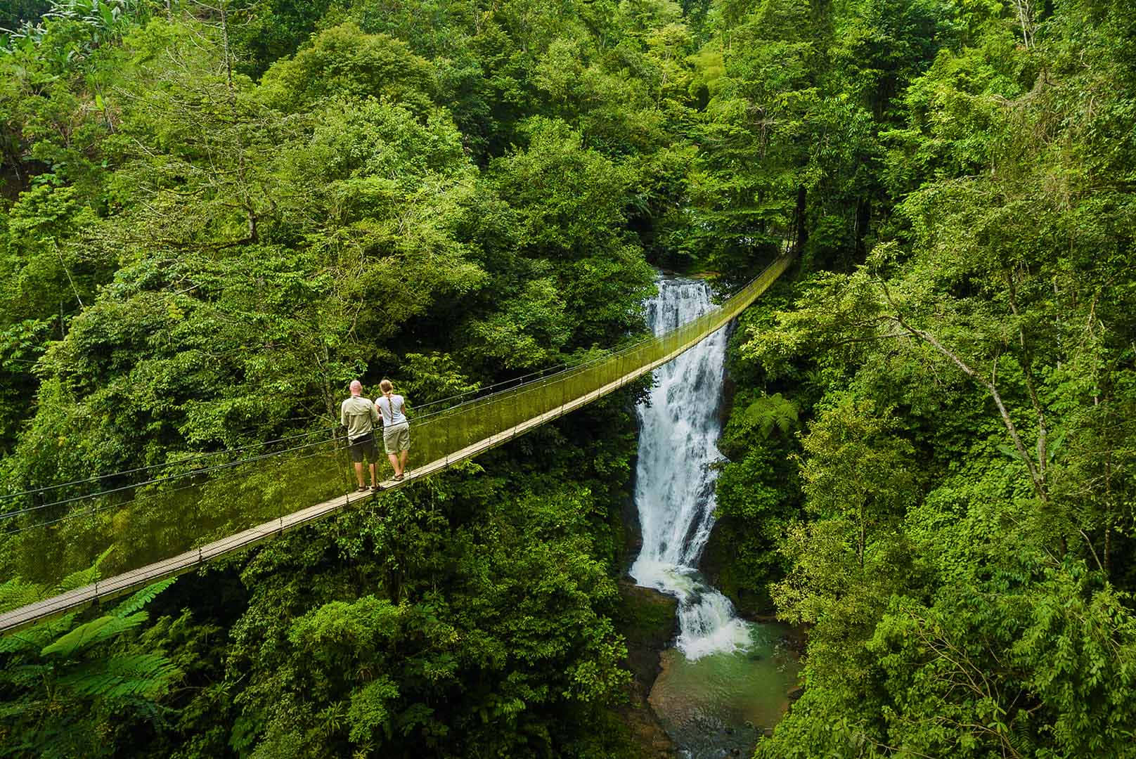 Eco-tourism 桌布 壁紙 — 兩名遠足者站在木製吊橋上，俯瞰著被茂密翡翠叢林環繞的層疊瀑布。