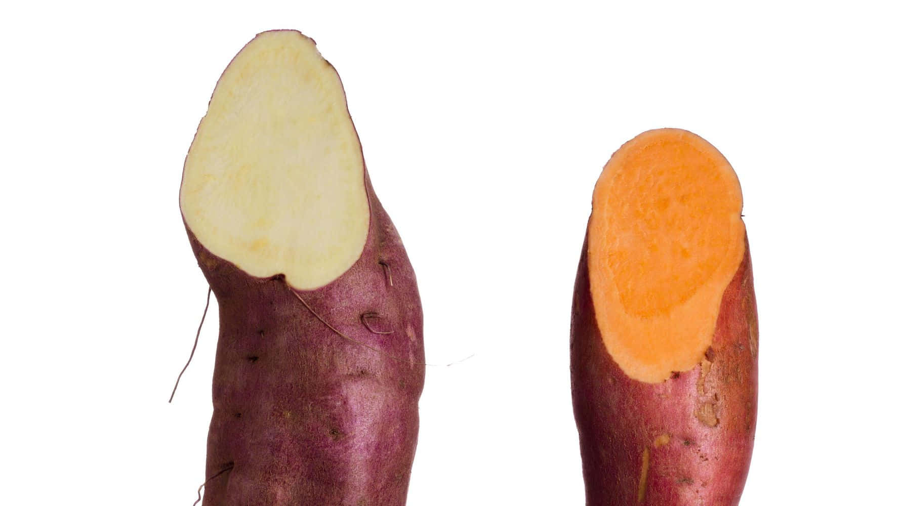Yellow Sweet Potato 桌布 壁紙 — 兩塊切片番薯，一塊淡黃色，一塊鮮橙色，襯托在純白背景上。