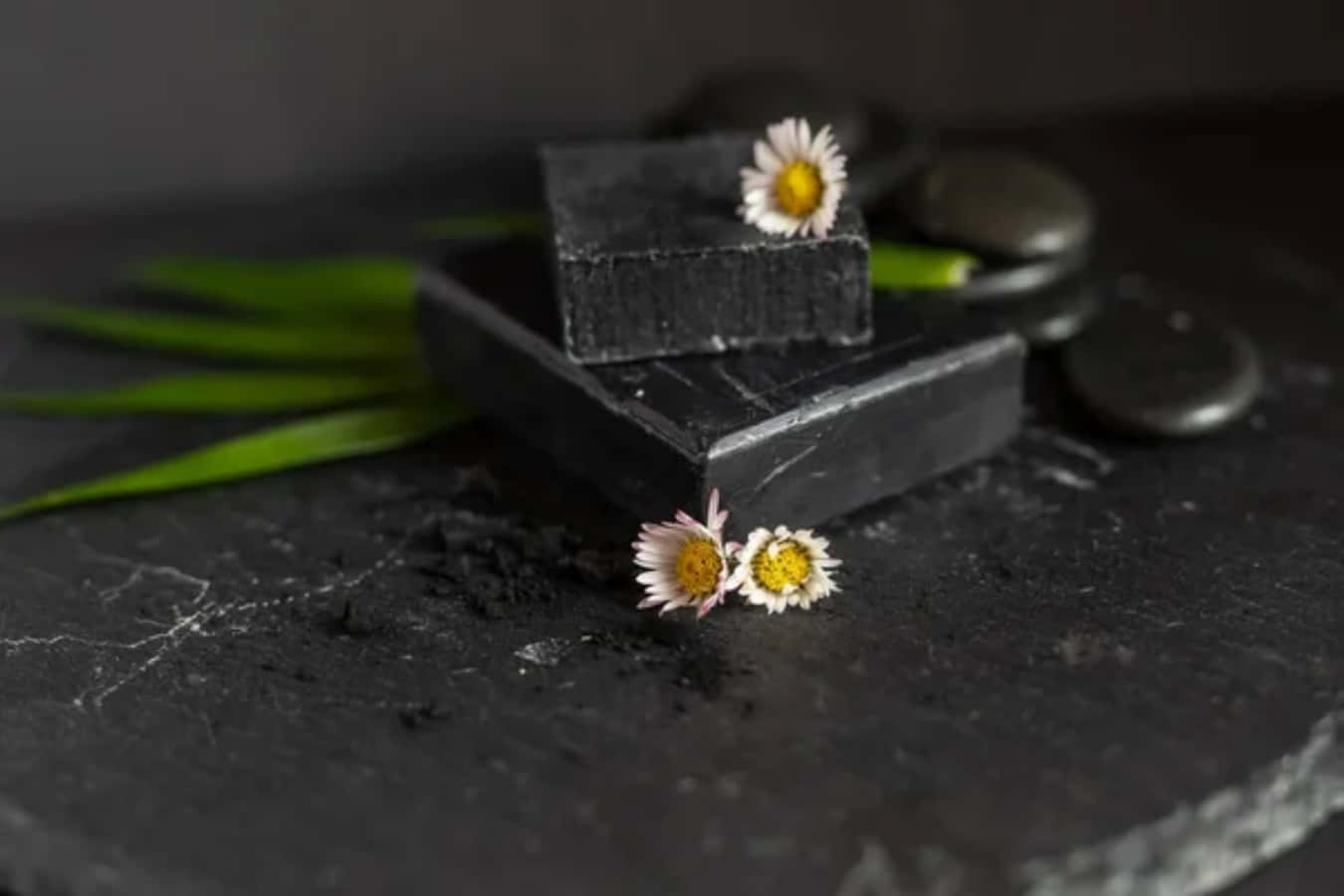 Black Soap 桌布 壁紙 — 兩塊深色炭皂放在石板表面上，附近有精緻的雛菊和光滑的河石。