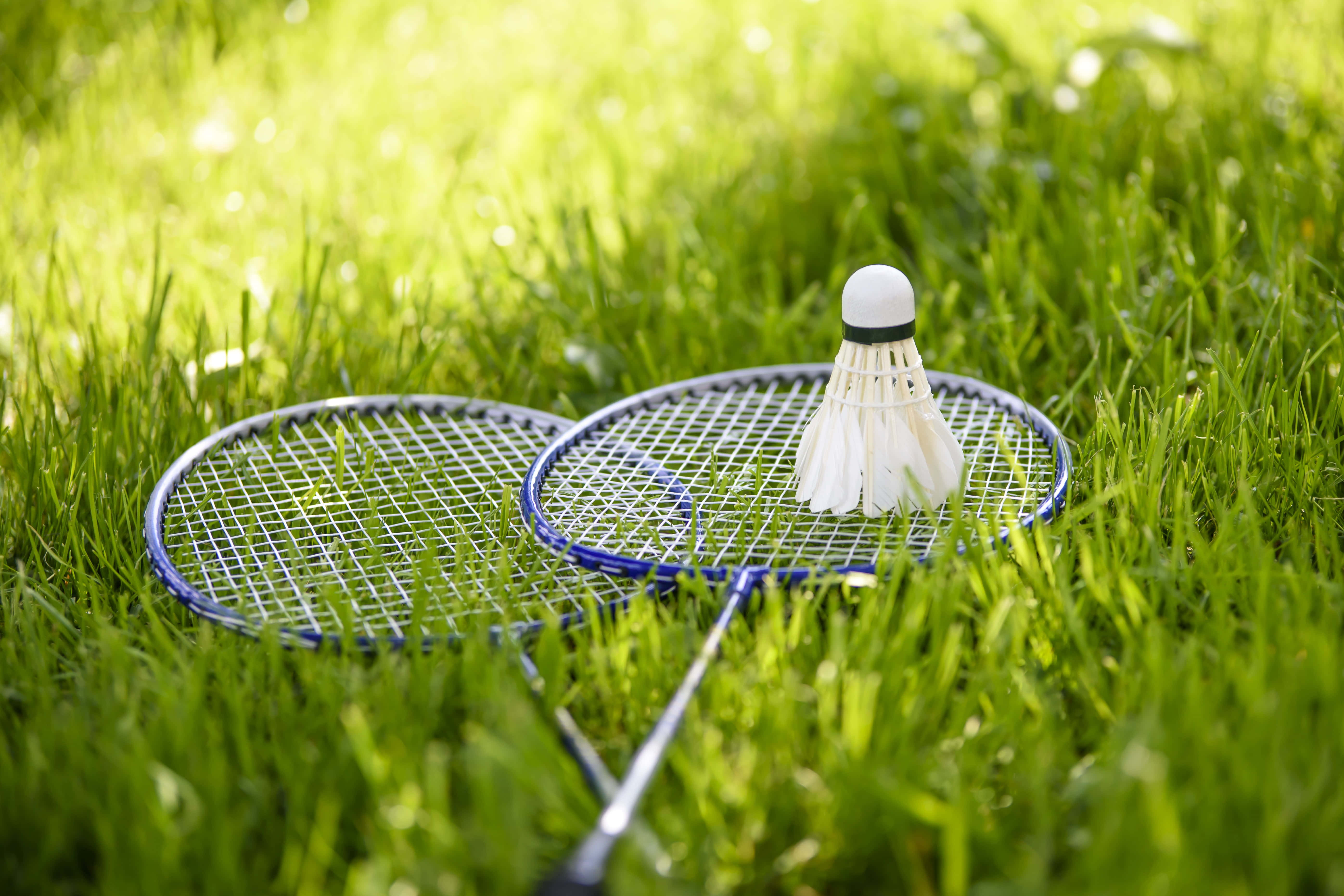 Badminton 桌布 壁紙 — 兩塊羽毛球拍同一個羽毛球喺明亮陽光下放喺充滿活力嘅綠色草地上。