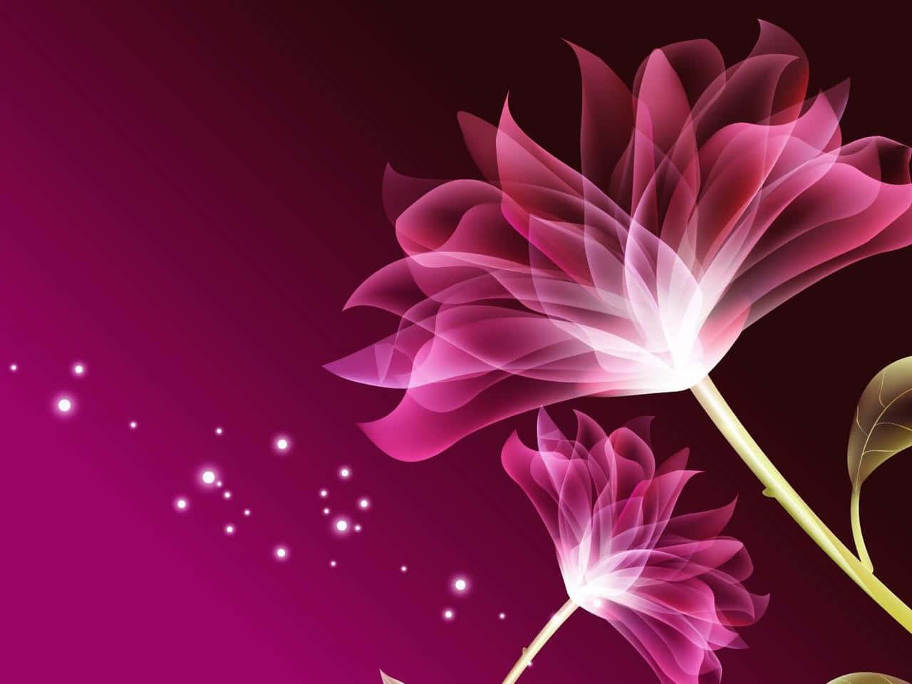 Beautiful Artistic 桌布 壁紙 — 兩朵發光的半透明粉紅色花朵，帶有耀眼的白色花心，在深洋紅色漸變背景上綻放，背景點綴著閃爍的光芒。
