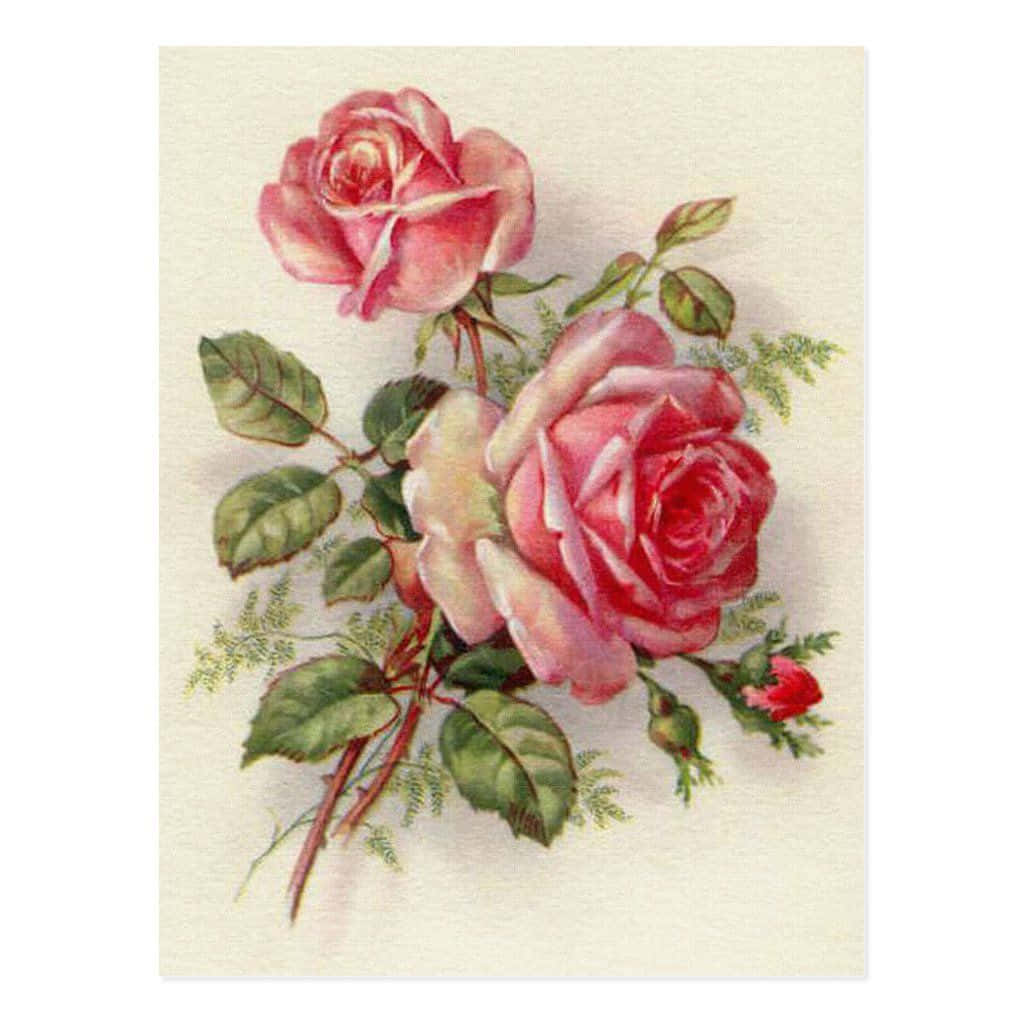 Vintage Rose 桌布 壁紙 — 兩朵精緻的粉紅玫瑰，配以綠葉和一個小花蕾，在柔和的奶油色背景上優雅綻放。