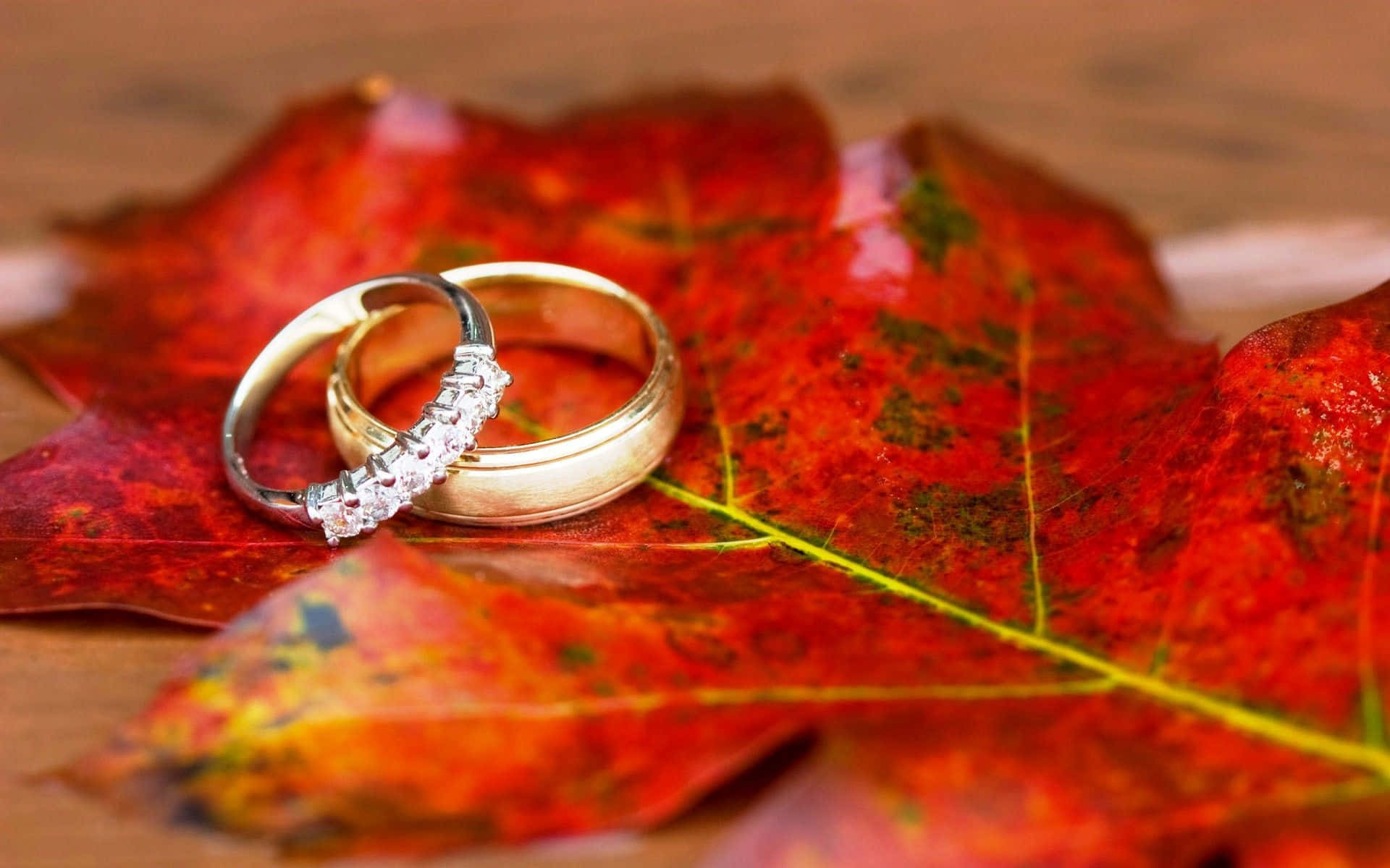 Wedding Rings 桌布 壁紙 — 兩枚結婚戒指優雅地放在一片帶有金色葉脈的鮮紅色秋葉上。
