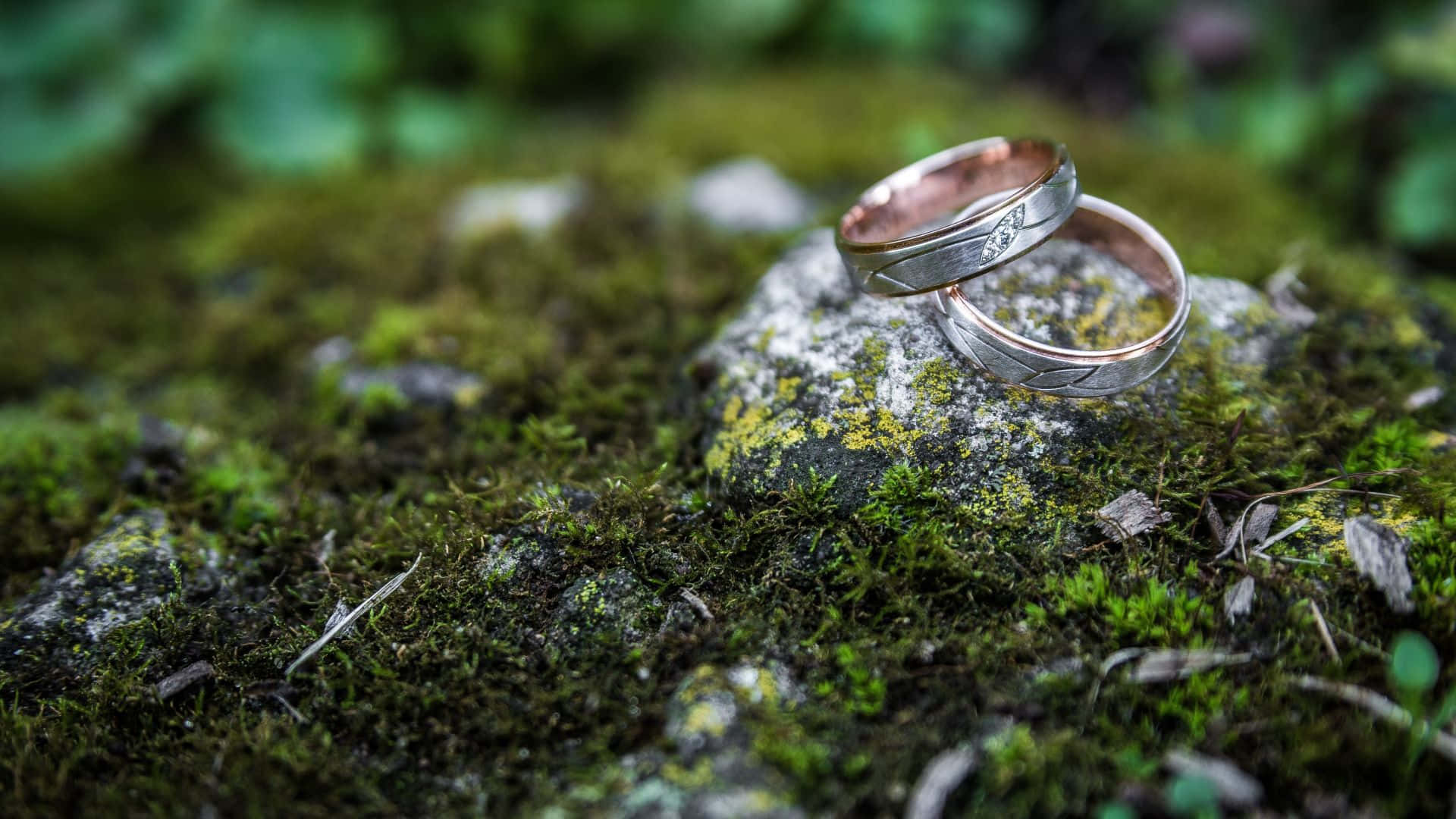Wedding Rings 桌布 壁紙 — 兩枚結婚戒指放在茂密綠色森林環境中一塊長滿苔蘚的石頭上。