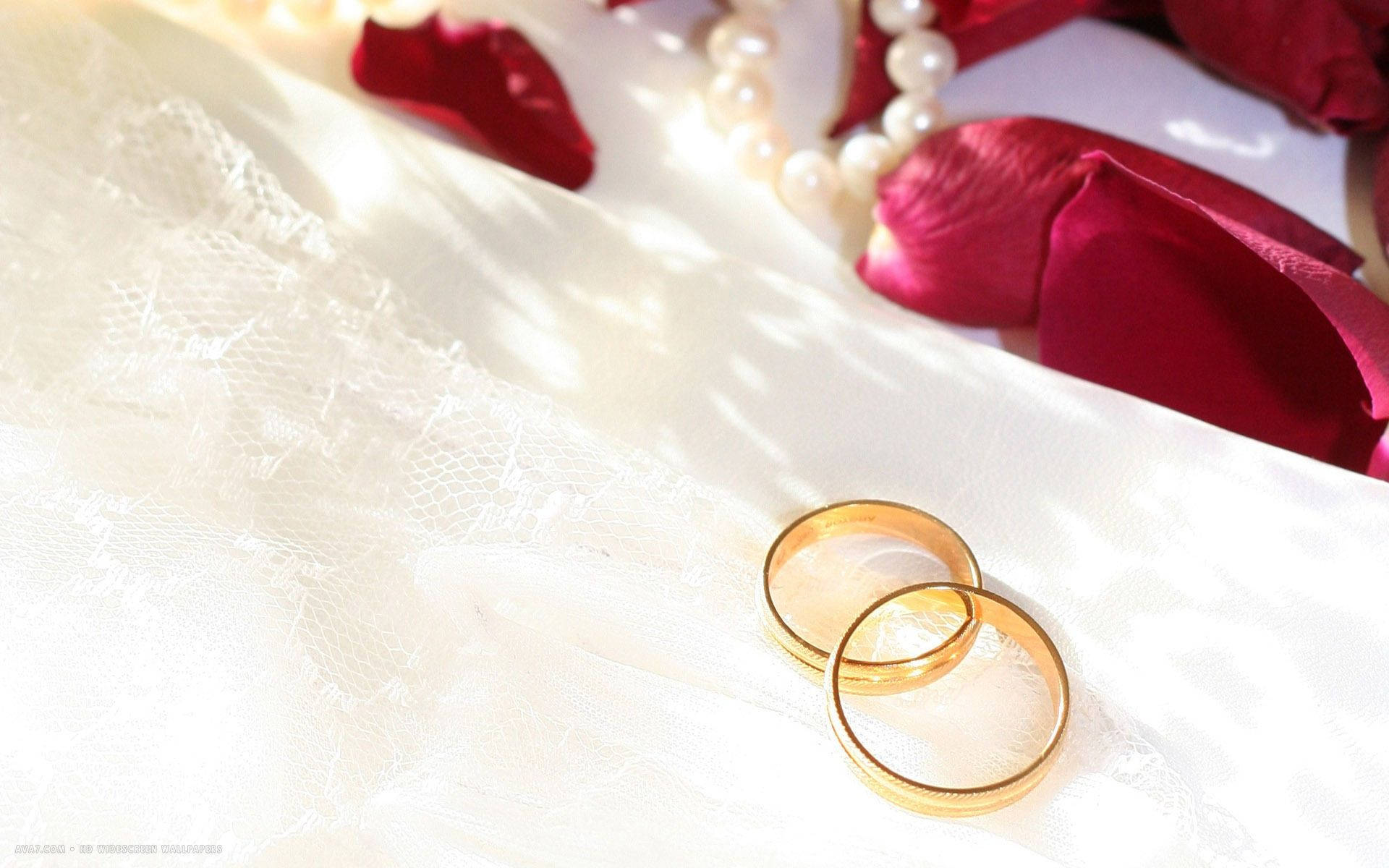 兩枚金婚戒與玫瑰花瓣 壁紙 — 兩枚金色結婚戒指放在白色蕾絲上，旁邊有紅色玫瑰花瓣和一條珍珠項鍊，沐浴在柔和陽光中。