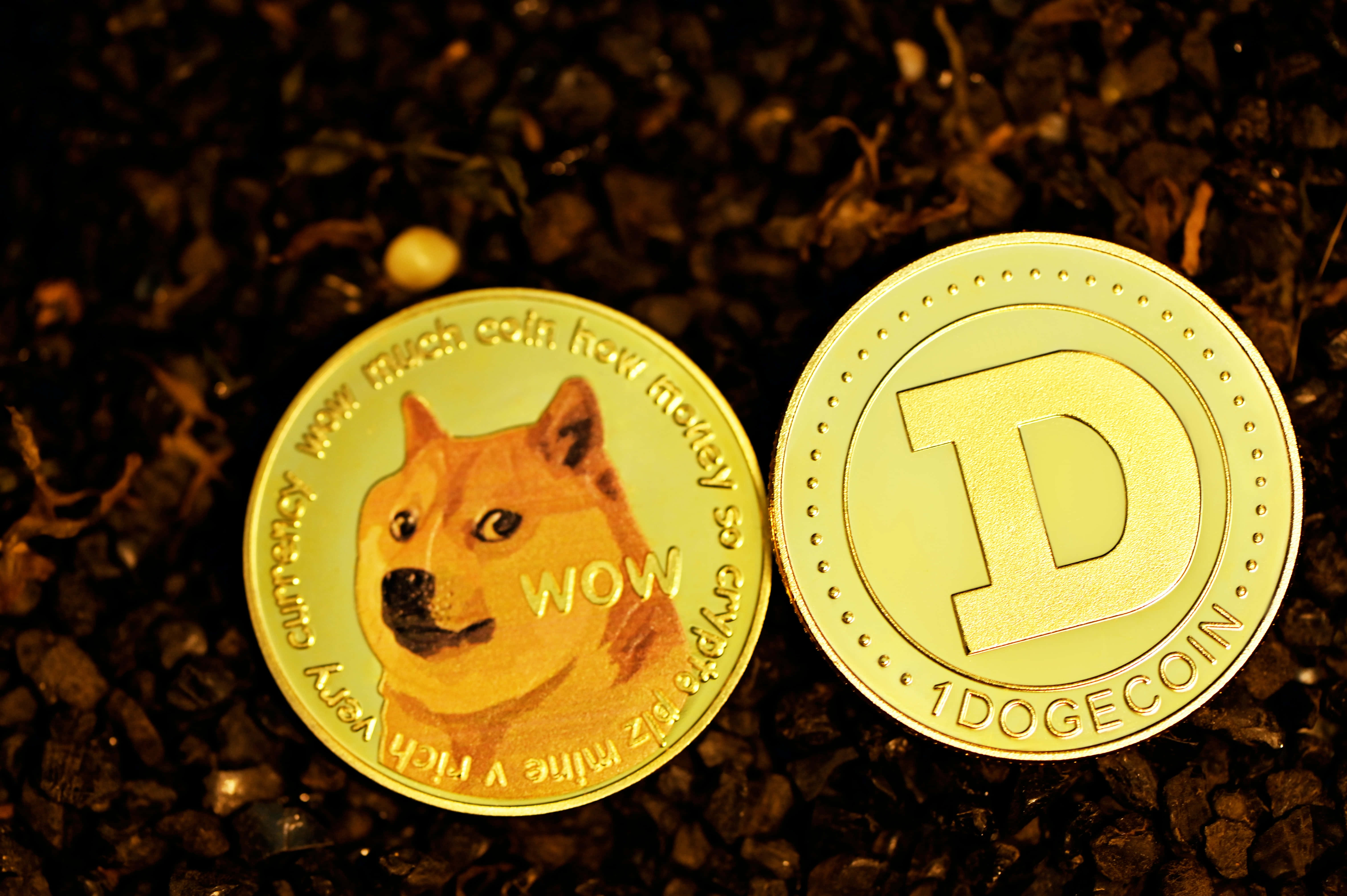 Dogecoin 桌布 壁紙 — 兩枚金色Dogecoin代幣放在深色礫石上，一枚顯示柴犬臉，另一枚顯示大D標誌。