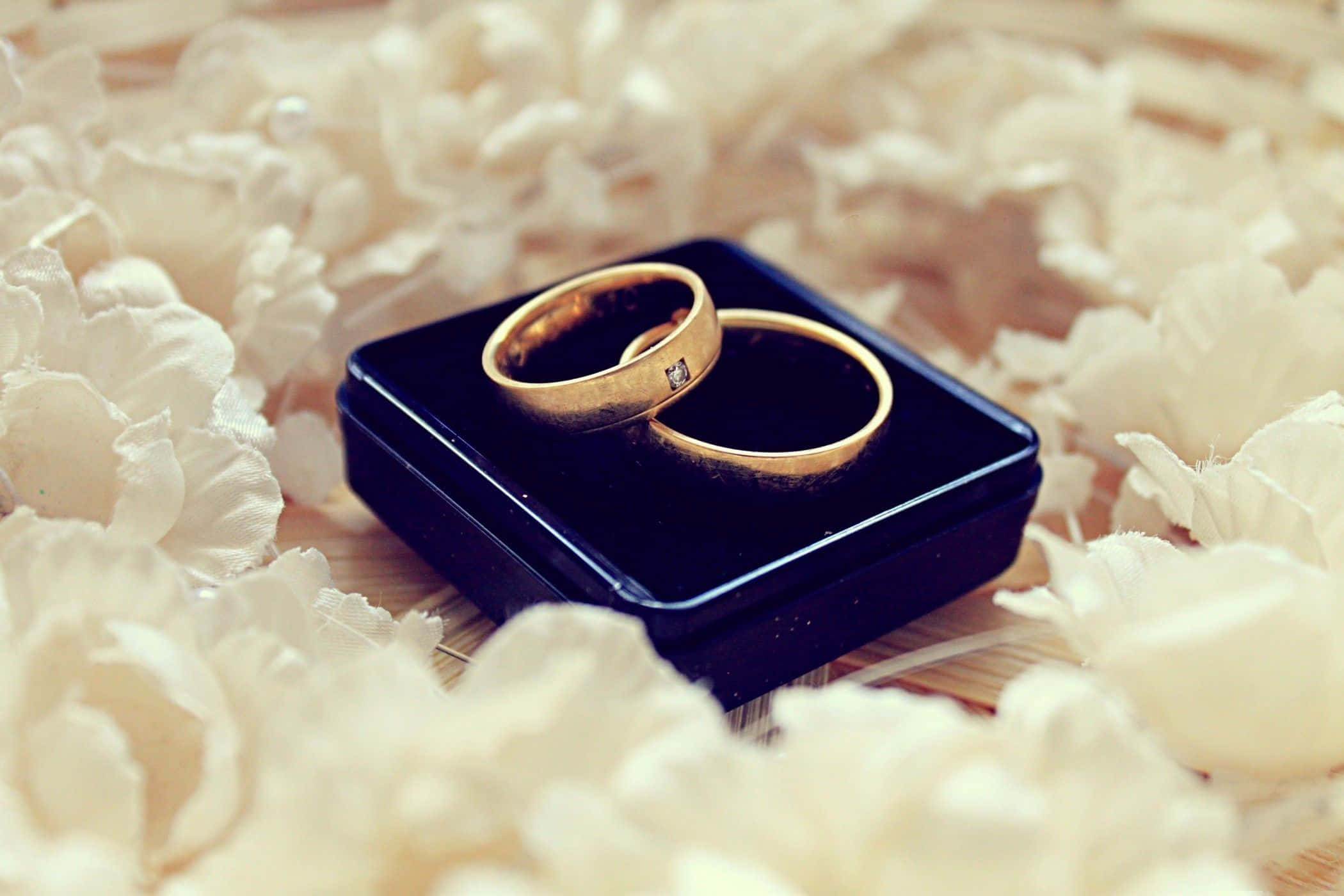 Wedding Rings 桌布 壁紙 — 兩枚金色結婚戒指放在一個黑色天鵝絨盒子裡，盒子 nestled 在柔軟的白色花朵之間。