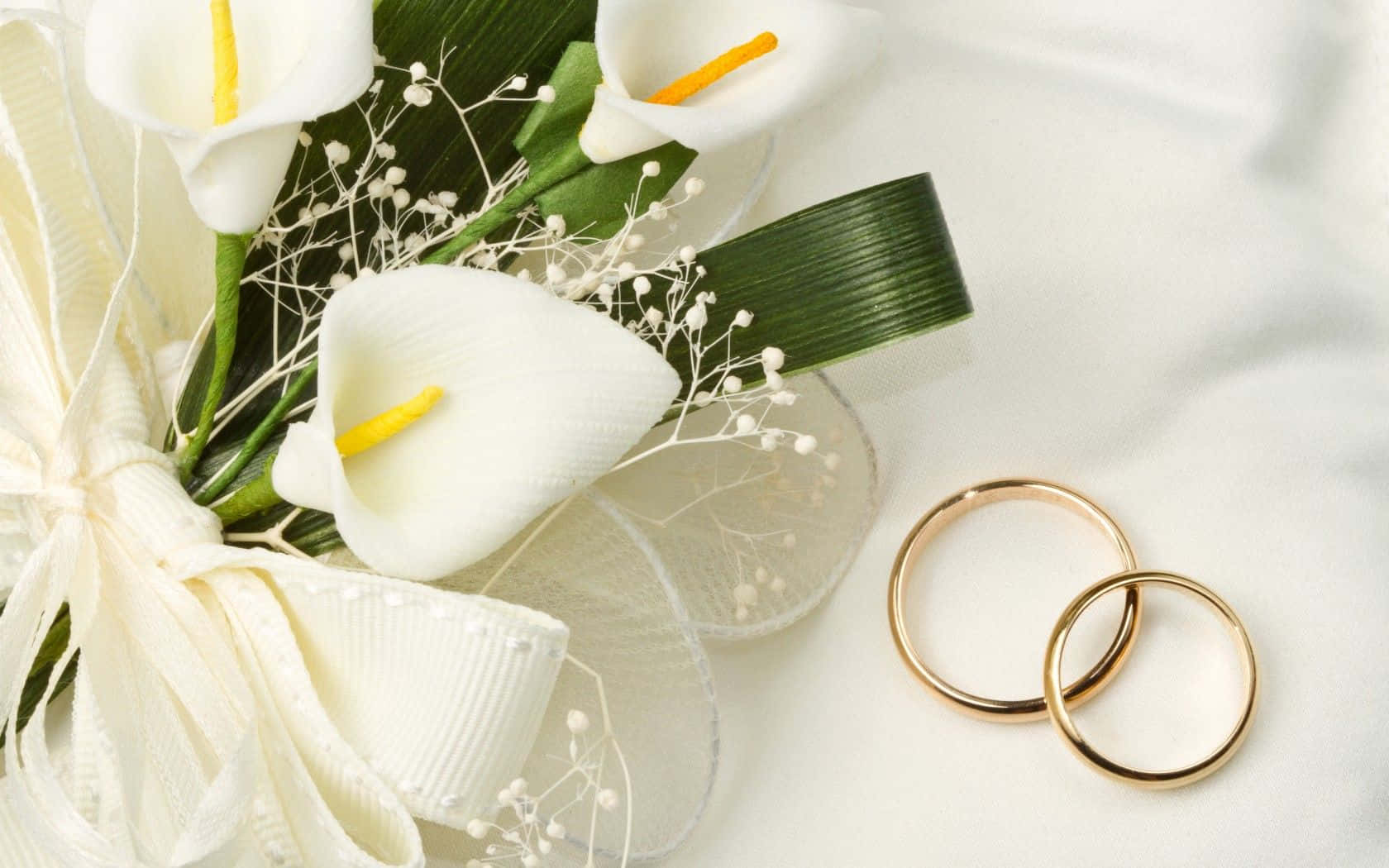 Wedding Flowers 桌布 壁紙 — 兩枚金色結婚戒指放在柔軟的白色布料上，旁邊是一束白色馬蹄蓮和滿天星。