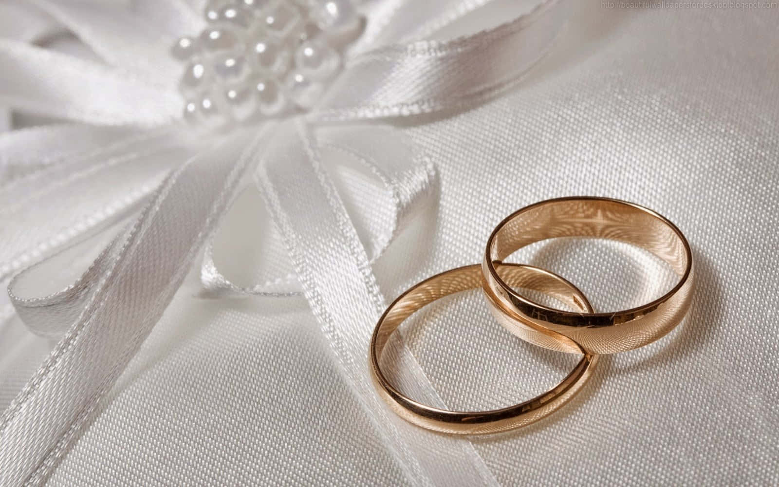 Ring 桌布 壁紙 — 兩枚金色結婚戒指放在白色緞面，旁邊有一個珍珠裝飾的蝴蝶結。