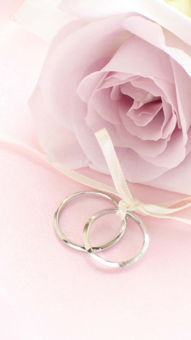 玫瑰金 iPhone 桌布 壁紙 — 兩枚銀色結婚戒指放在一條柔軟的粉紅玫瑰旁邊，玫瑰用奶油色絲帶綁著，置於粉彩粉紅表面上。