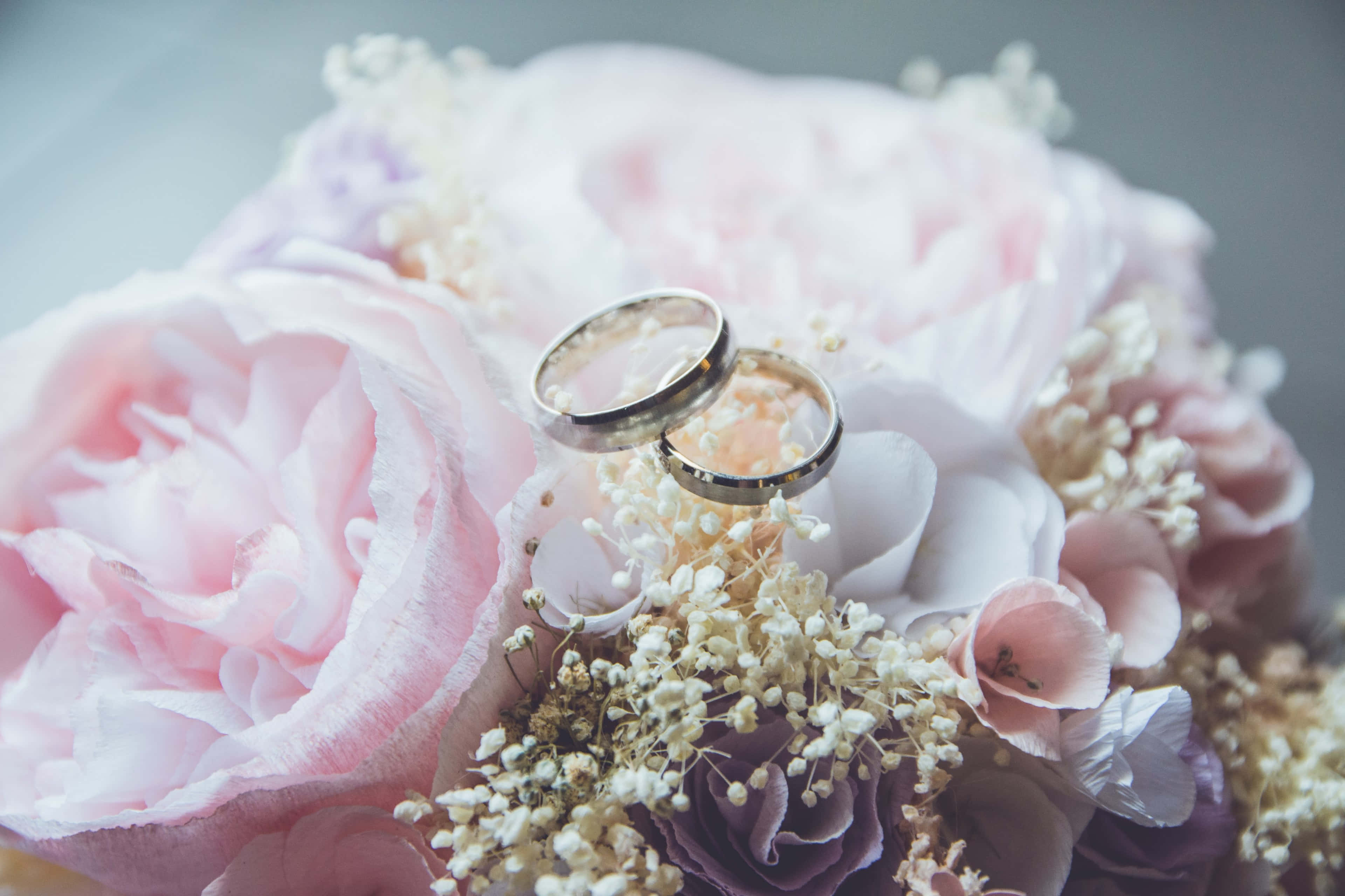 Wedding Bouquet 桌布 壁紙 — 兩枚閃亮的結婚戒指放在一束由粉紅和薰衣草玫瑰及細緻滿天星組成的柔軟花束上。