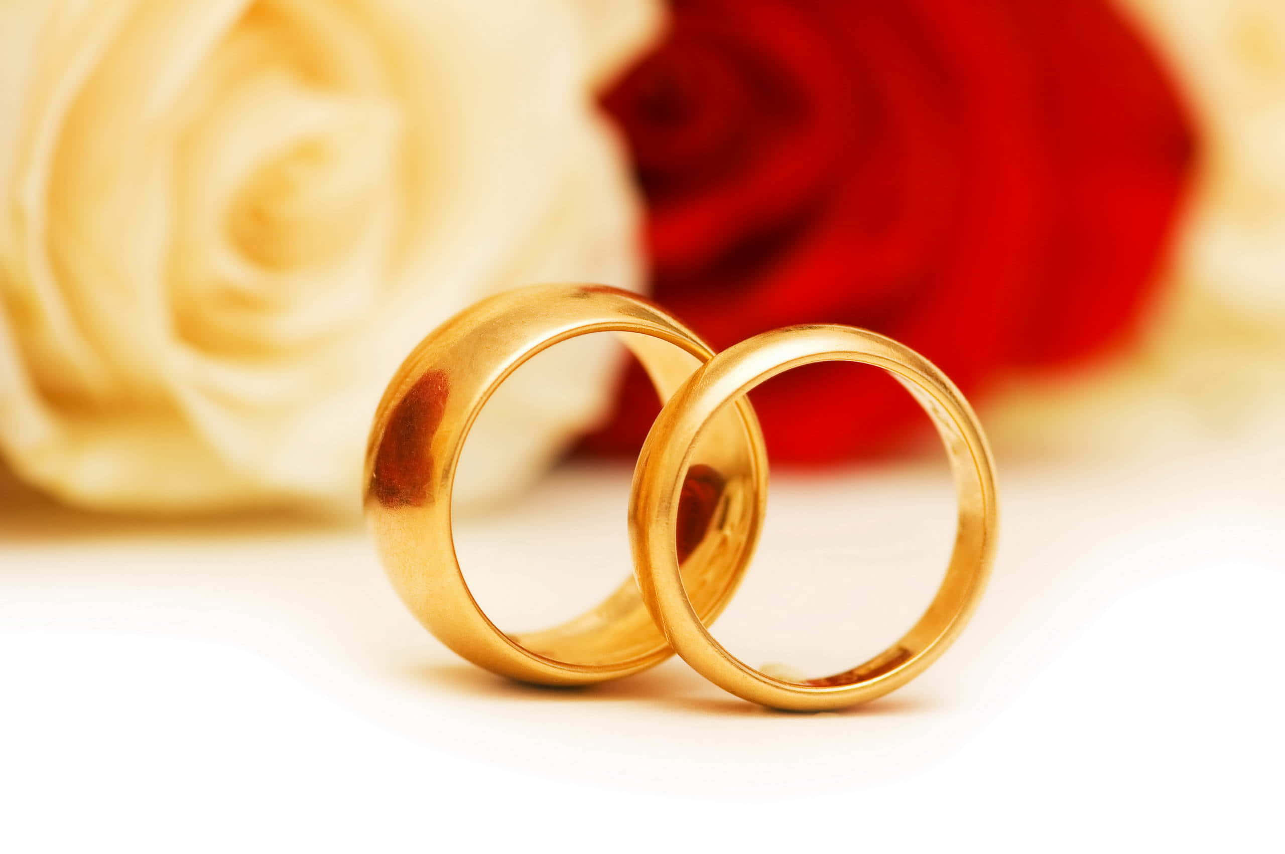 Ring 桌布 壁紙 — 兩枚閃閃發光的金色結婚戒指放在白色表面上，旁邊是模糊的奶油色和紅色玫瑰。