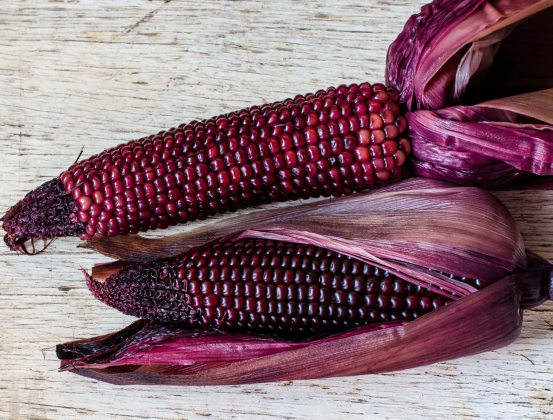 Purple Corn 桌布 壁紙 — 兩條深紅色粟米，帶紫色外殼，放在經風化的木質表面上。