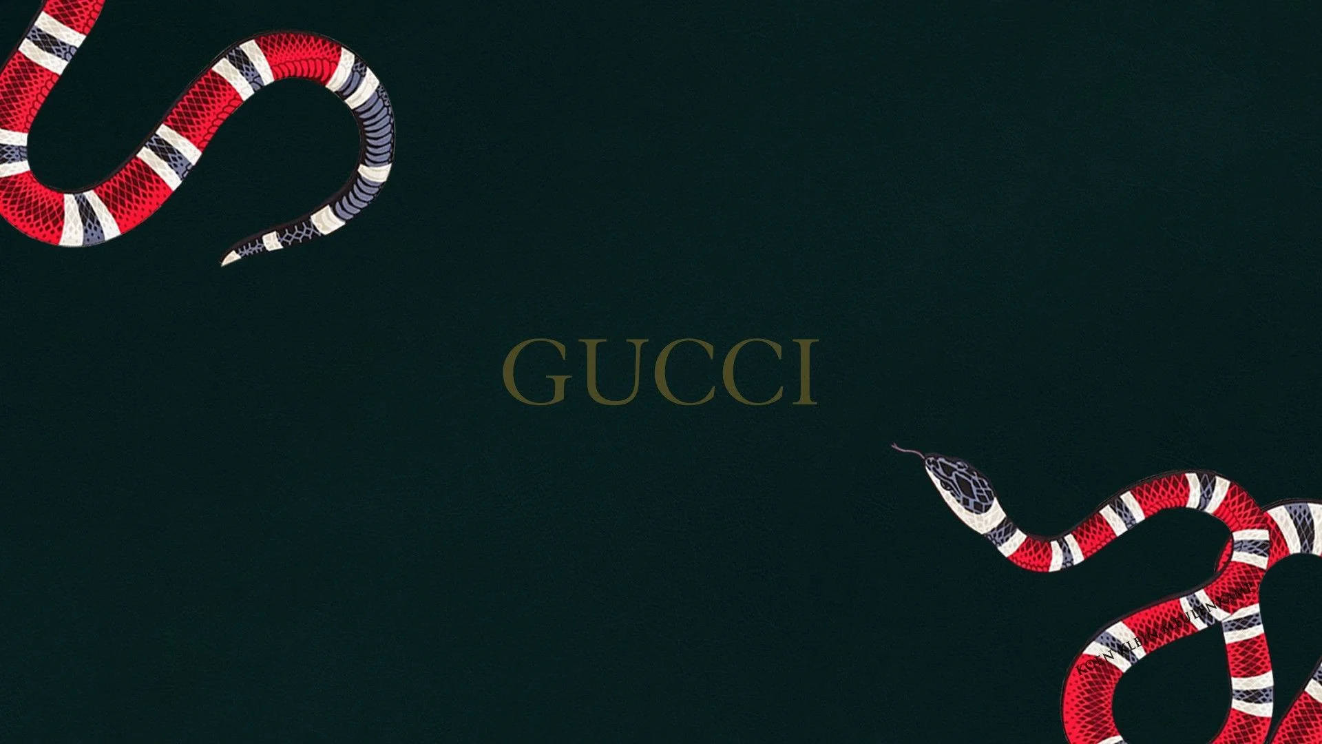 Gucci 桌布 壁紙 — 兩條紅色、白色和黑色的蛇框住Gucci標誌，背景為深綠色紋理。