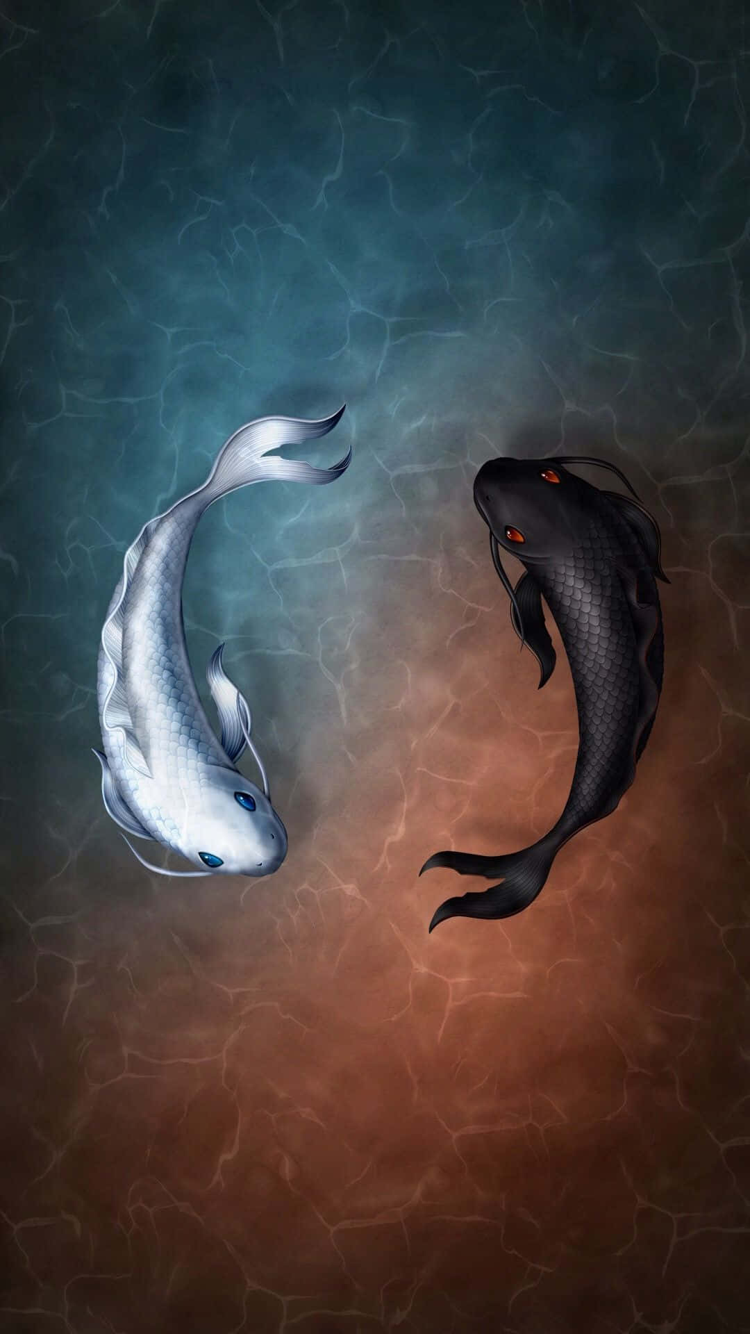 雙魚座 桌布 壁紙 — 兩條風格化的錦鯉，一條白色一條黑色，在裂開的水面上以對比的藍色和橙色色調向相反方向游動。
