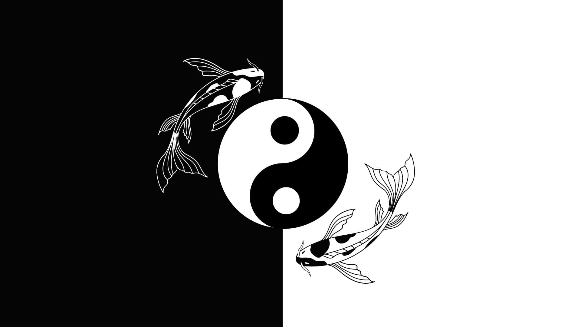 Yin Yang Fish 桌布 壁紙 — 兩條風格化的錦鯉在黑白背景襯托下圍繞陰陽符號游動。