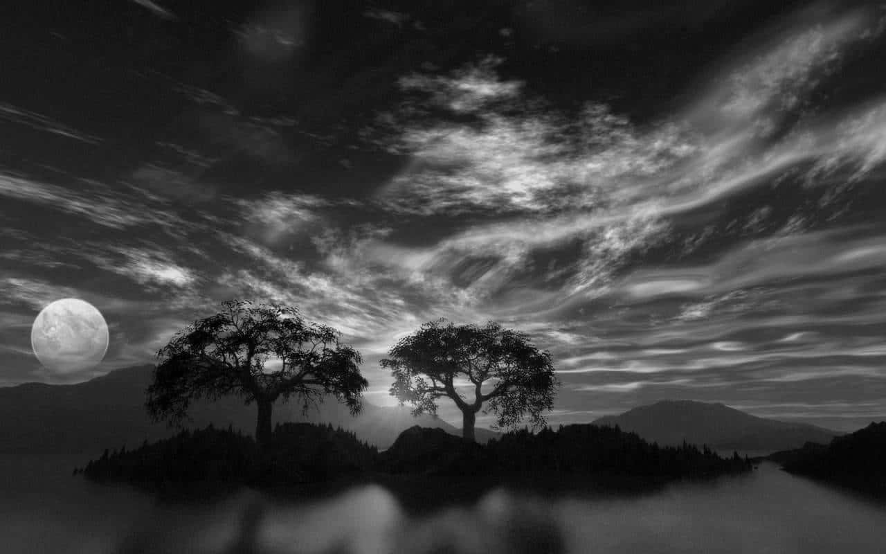 Black And White Nature 桌布 壁紙 — 兩棵剪影樹立在平靜湖泊的小島上，天空月光皎潔，雲絲飄逸，氣氛戲劇化。
