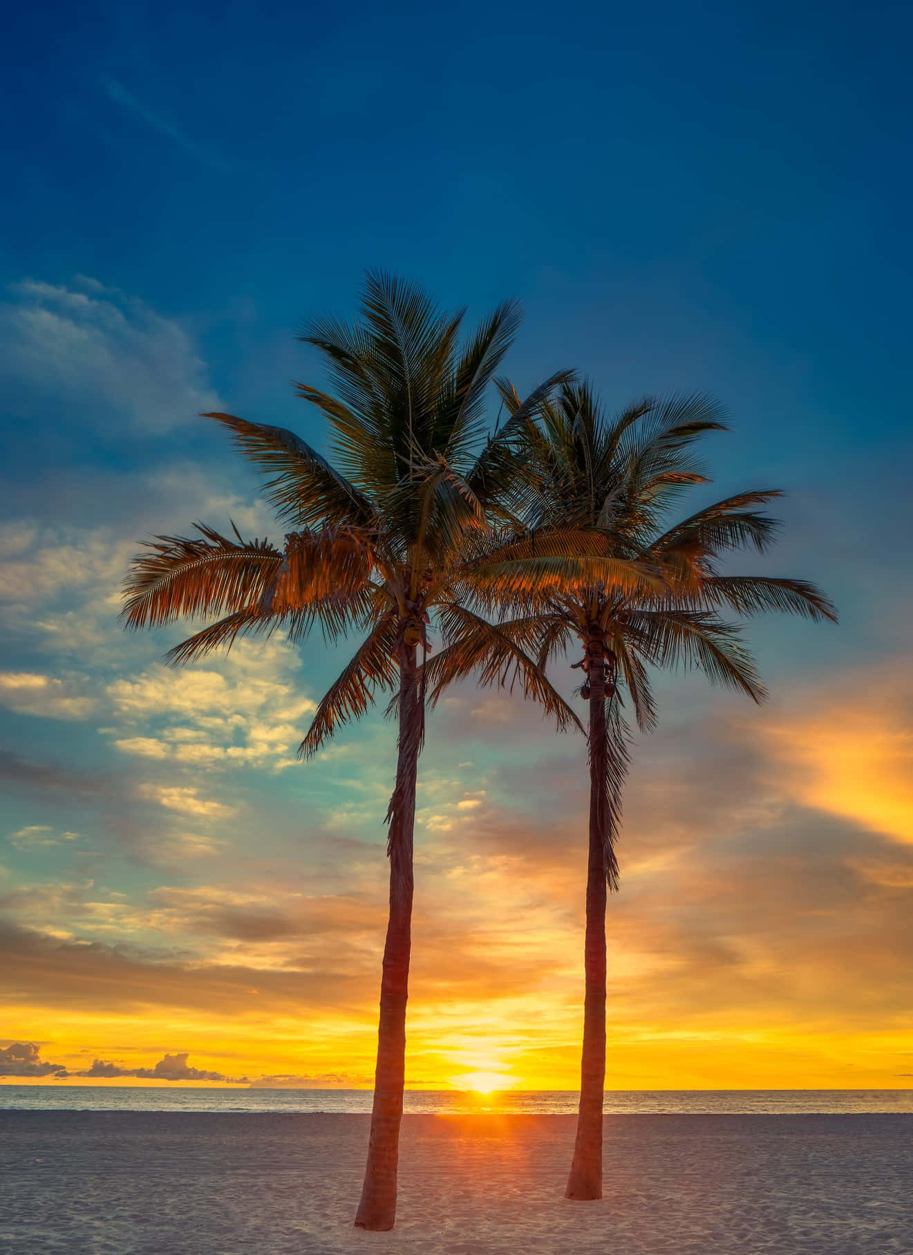 Beach Palm Trees 桌布 壁紙 — 兩棵棕櫚樹高聳在寧靜的海灘上，夕陽以火熱的橙色和金色色調橫跨海洋落下。