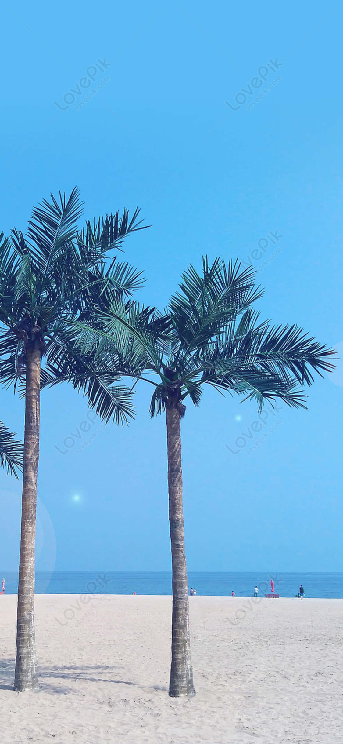 iPhone X Beach 桌布 壁紙 — 兩棵高大的棕櫚樹矗立在沙灘上，天空湛藍，遠方海洋和小小的人影享受著海岸。