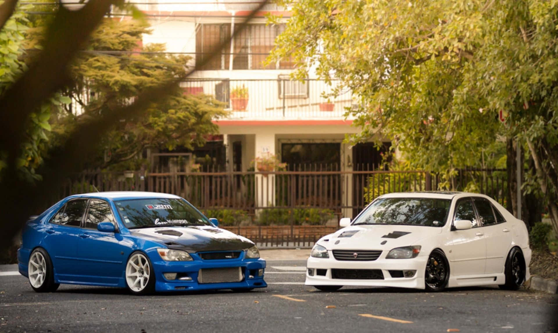 JDM 車 桌布 壁紙 — 兩輛改裝房車藍色和白色並排停泊在樹木成蔭的住宅街道上，沐浴在溫暖的金色光線中。