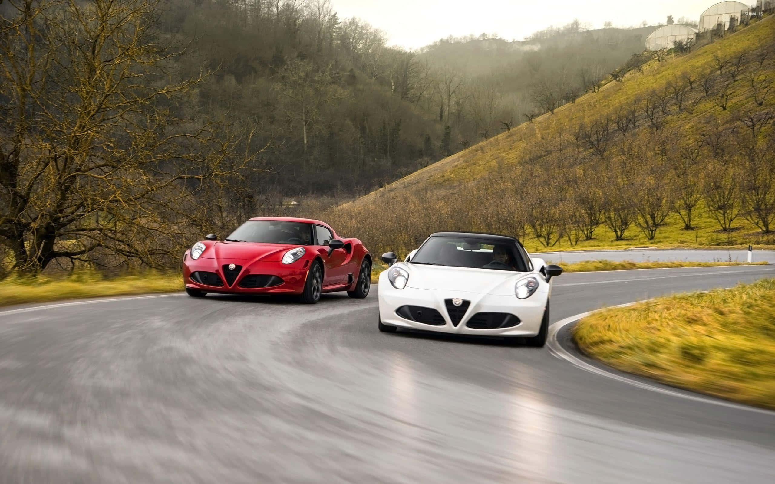 Alfa Romeo 4c 桌布 壁紙 — 兩輛時尚跑車，一輛紅色和一輛白色嘅阿爾法羅密歐，沿住蜿蜒嘅山路穿過秋日嘅山丘飛馳。