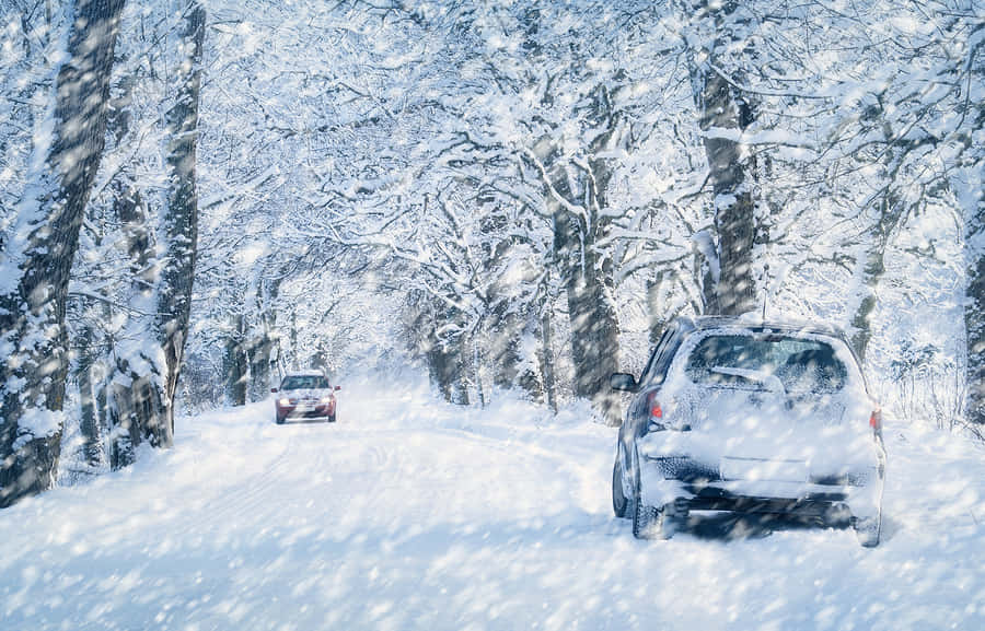 Winter Driving 桌布 壁紙 — 兩輛汽車在白雪覆蓋的森林道路上行駛，大雪在積雪的樹木周圍飄落。