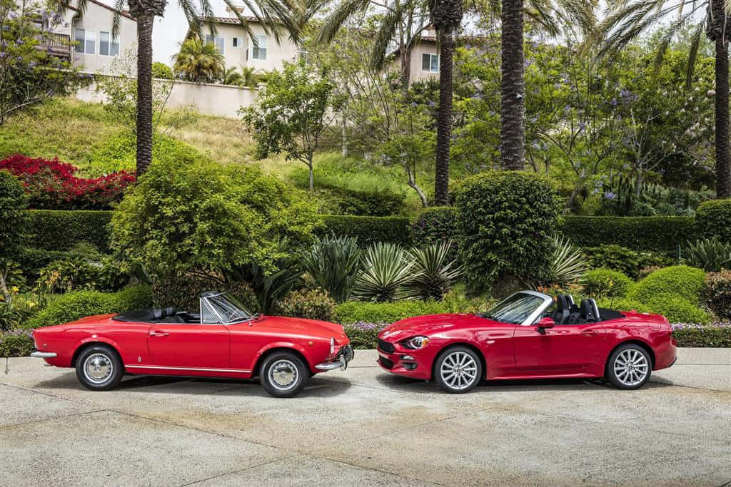 Fiat 124 Spider 桌布 壁紙 — 兩輛鮮紅色嘅Fiat開篷車並排停泊喺一條石頭車道上，周圍係茂密嘅綠色植物同棕櫚樹。