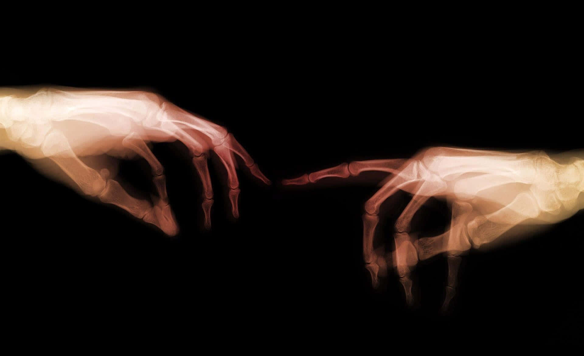 X Ray 桌布 壁紙 — 兩隻X光照射的手在黑暗中伸出，指尖幾乎觸碰，在黑暗中溫暖地發光。