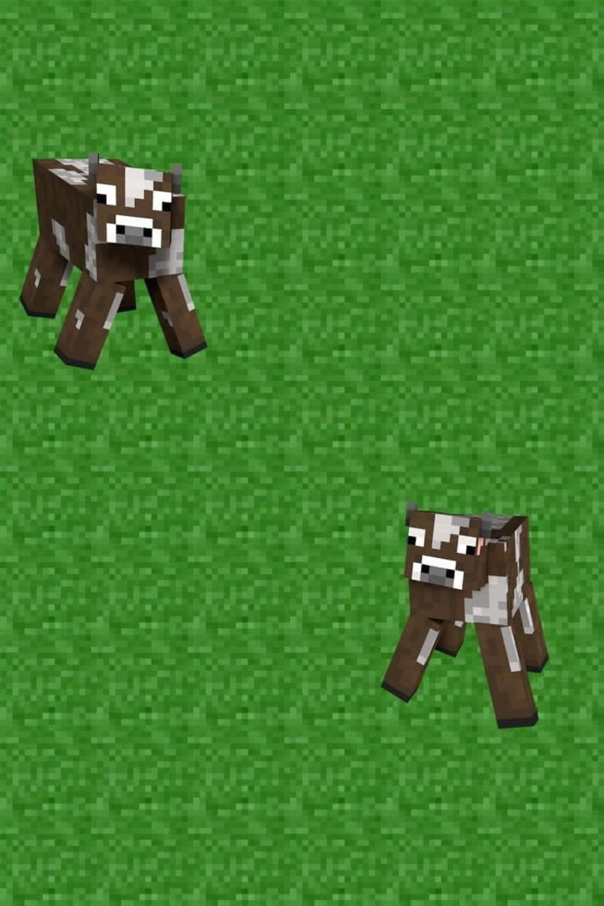 Minecraft Pets 桌布 壁紙 — 兩隻像素化的Minecraft牛站在綠色草地上，呈現方塊數碼藝術風格。