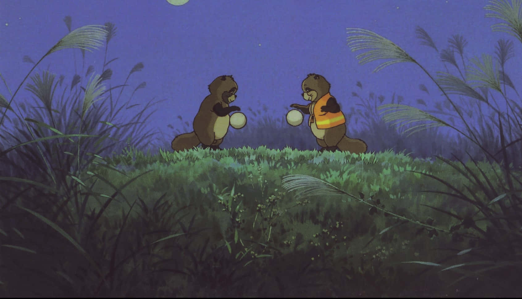 pom poko 桌布 壁紙 — 兩隻動畫海狸在月光照耀的草地上，在繁星點點的紫色天空下玩著發光的球體。