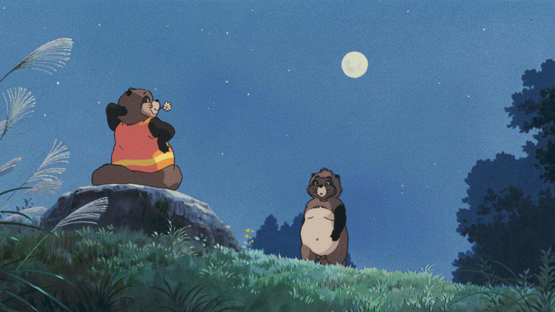 pom poko 桌布 壁紙 — 兩隻動畫熊坐在長滿草的山丘上，頭上是星光燦爛的夜空，一輪滿月在上方發光。