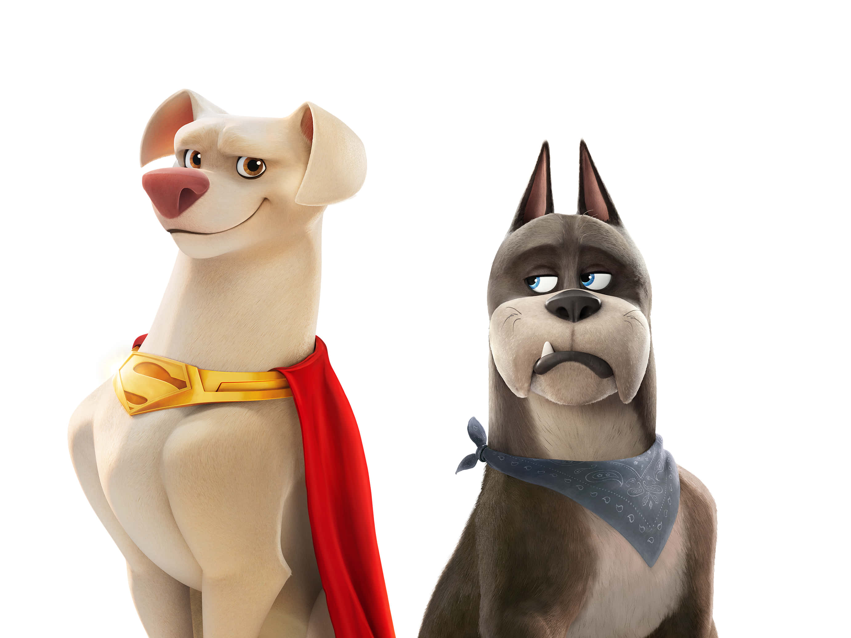 pets 桌布 壁紙 — 兩隻動畫狗，一隻穿著超級英雄服裝，另一隻戴著頭巾，在白色背景前擺姿勢。