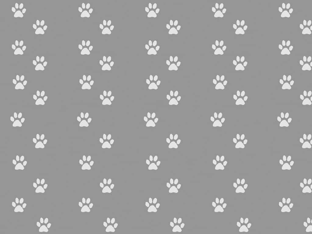 兩隻可愛的幼犬享受陽光普照的一天 壁紙 — 灰色牆紙，帶有重複圖案中散落的白色爪印。