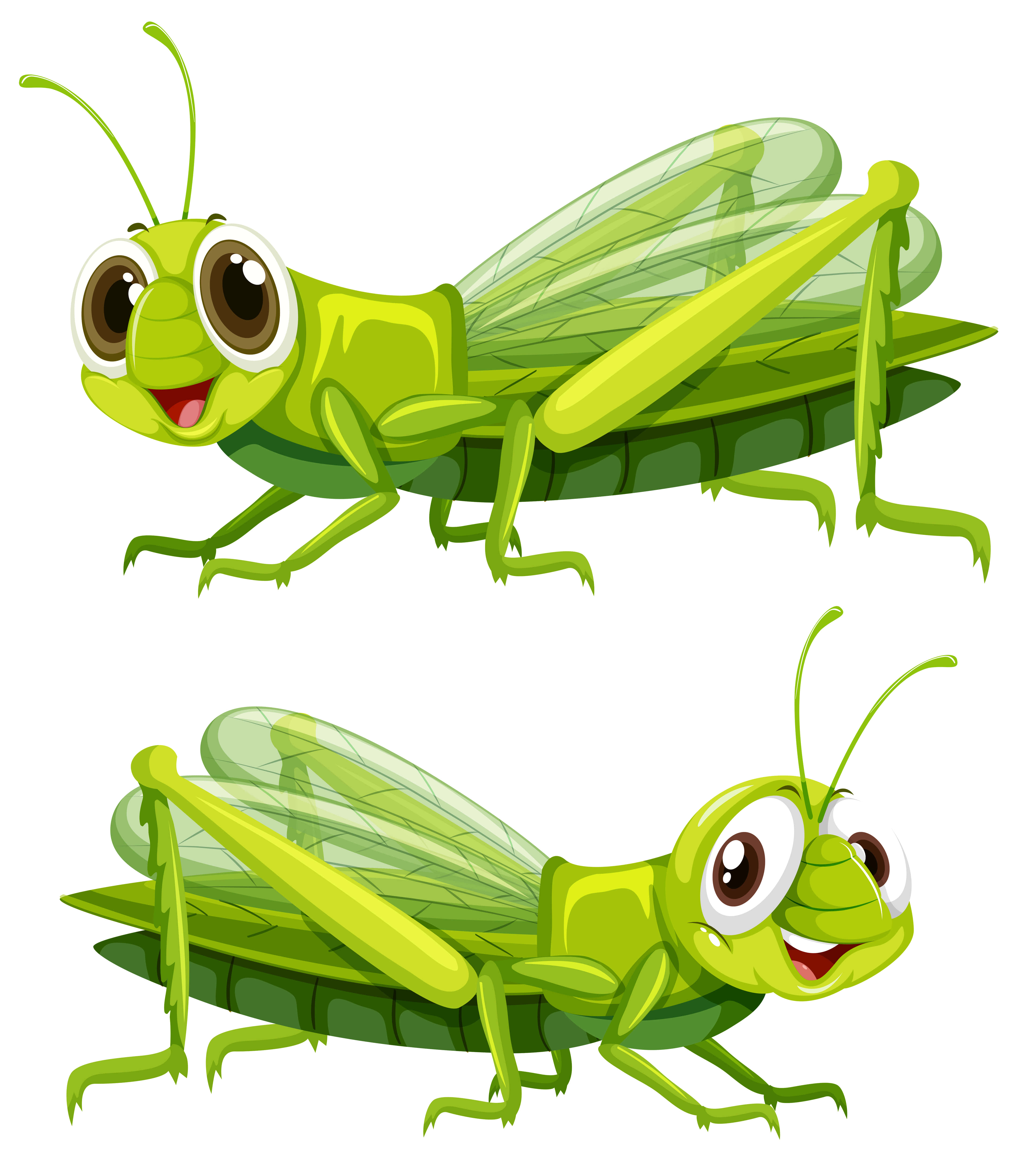 Grasshopper 桌布 壁紙 — 兩隻快樂的卡通蚱蜢，有著大眼睛和微笑的臉龐，呈現明亮的綠色色調。