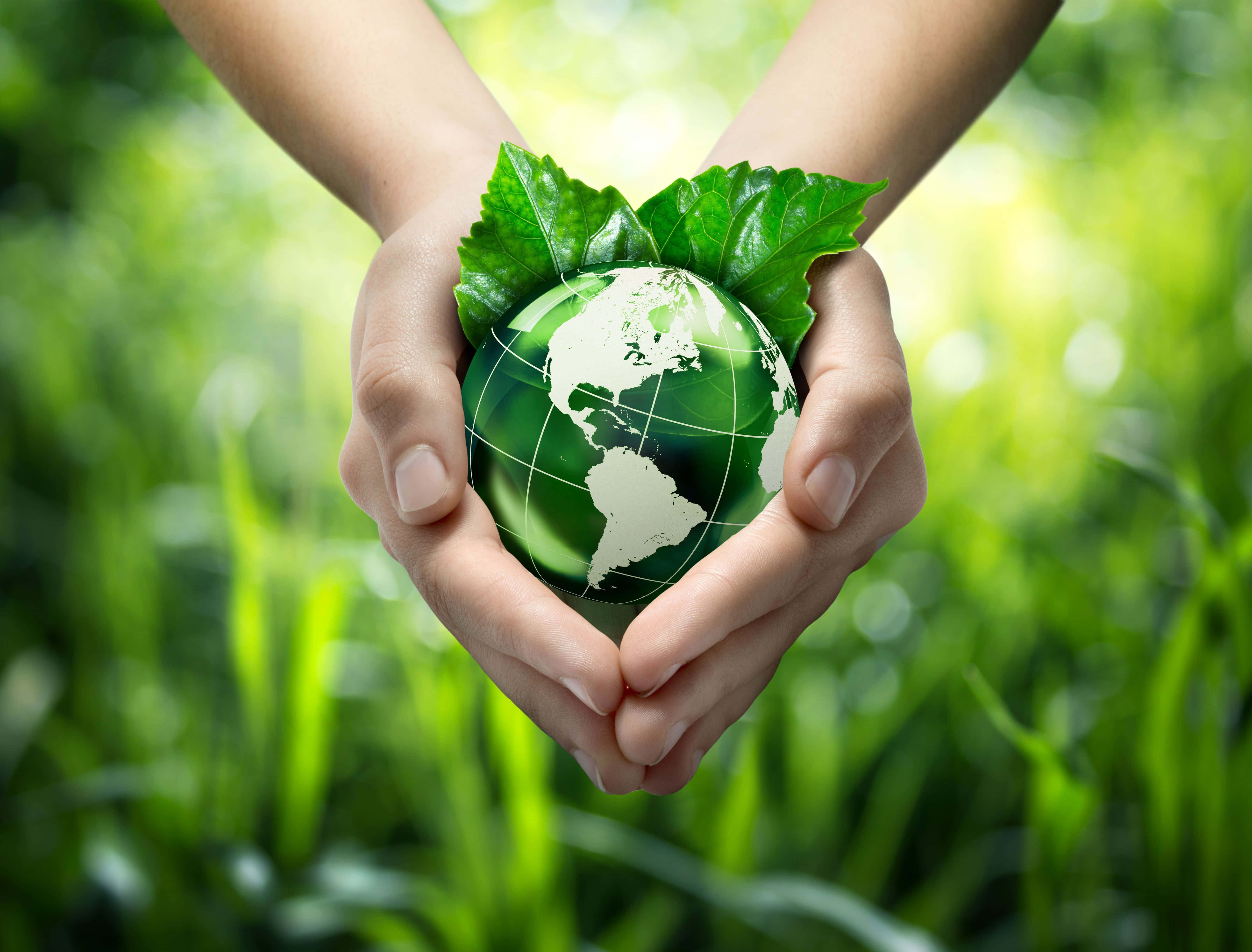 Earth Day 桌布 壁紙 — 兩隻手捧著一個裝飾著葉子的綠色地球儀，背景是茂密的草地。
